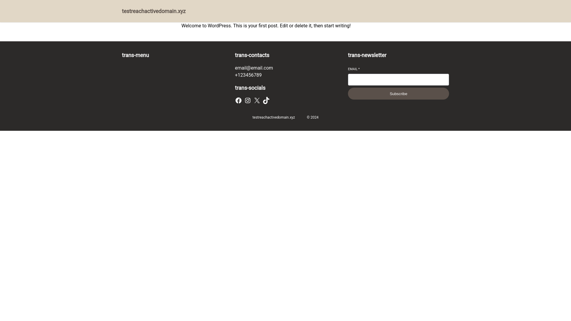 website screenshot of https://testreachactivedomain.xyz/