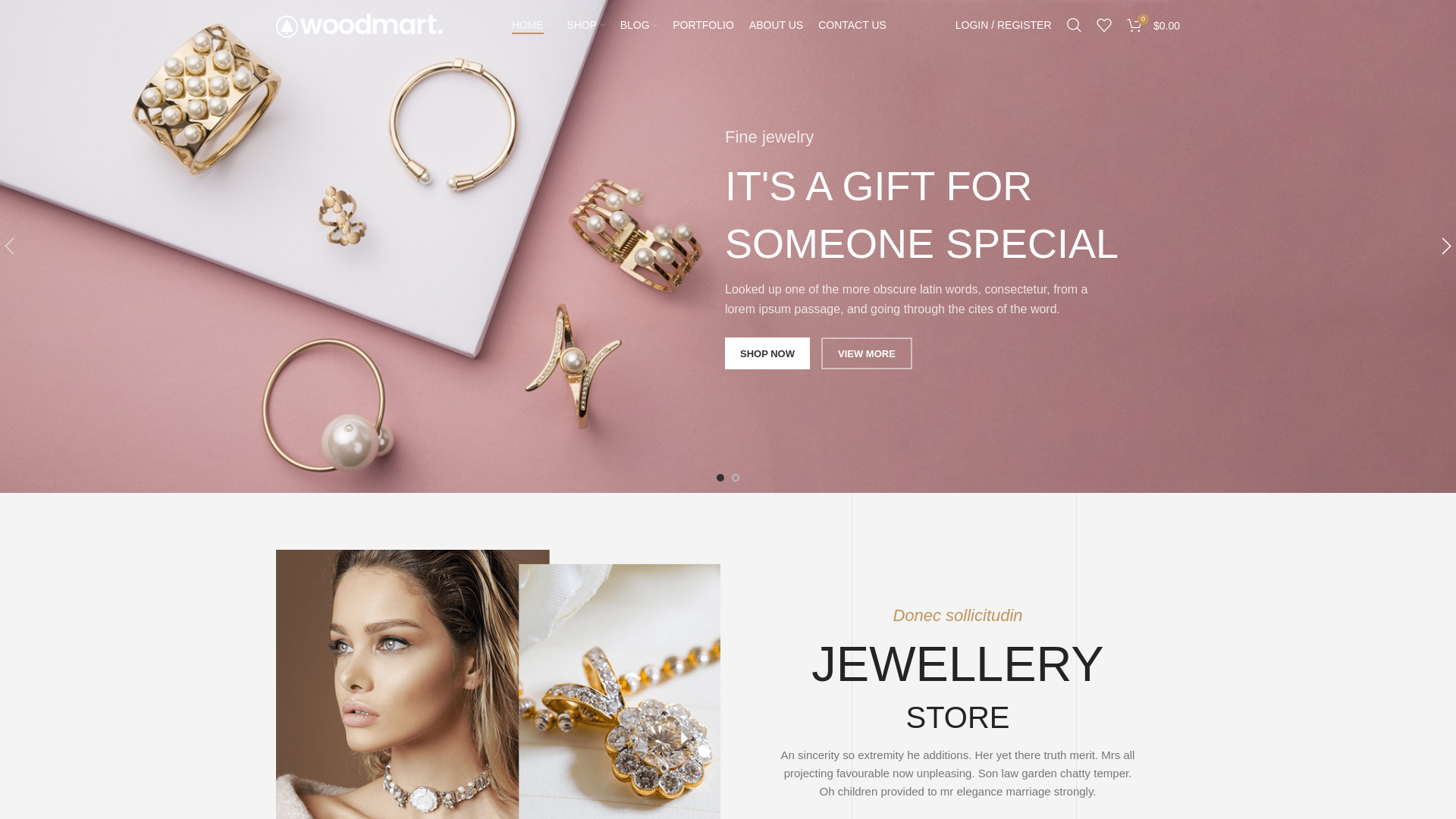 website screenshot of https://tianwendun.com/