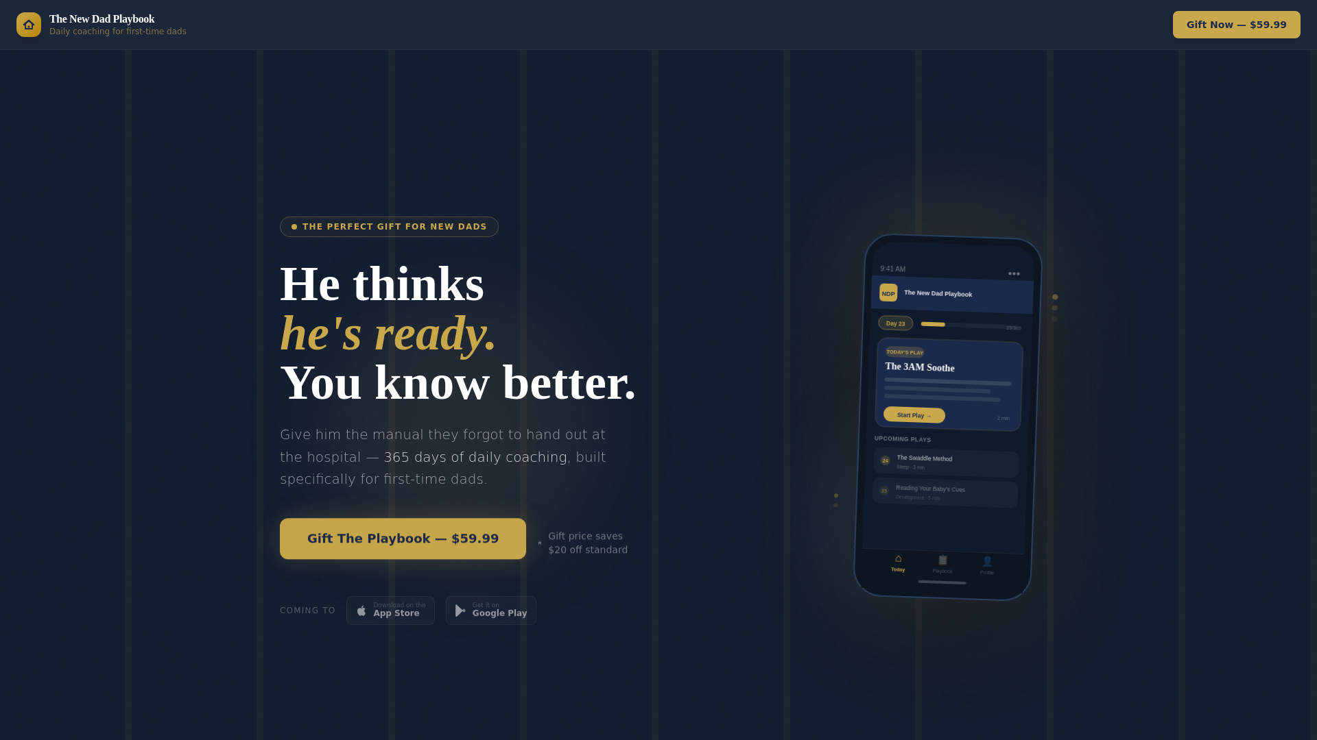 website screenshot of https://dadplaybookapp.com/