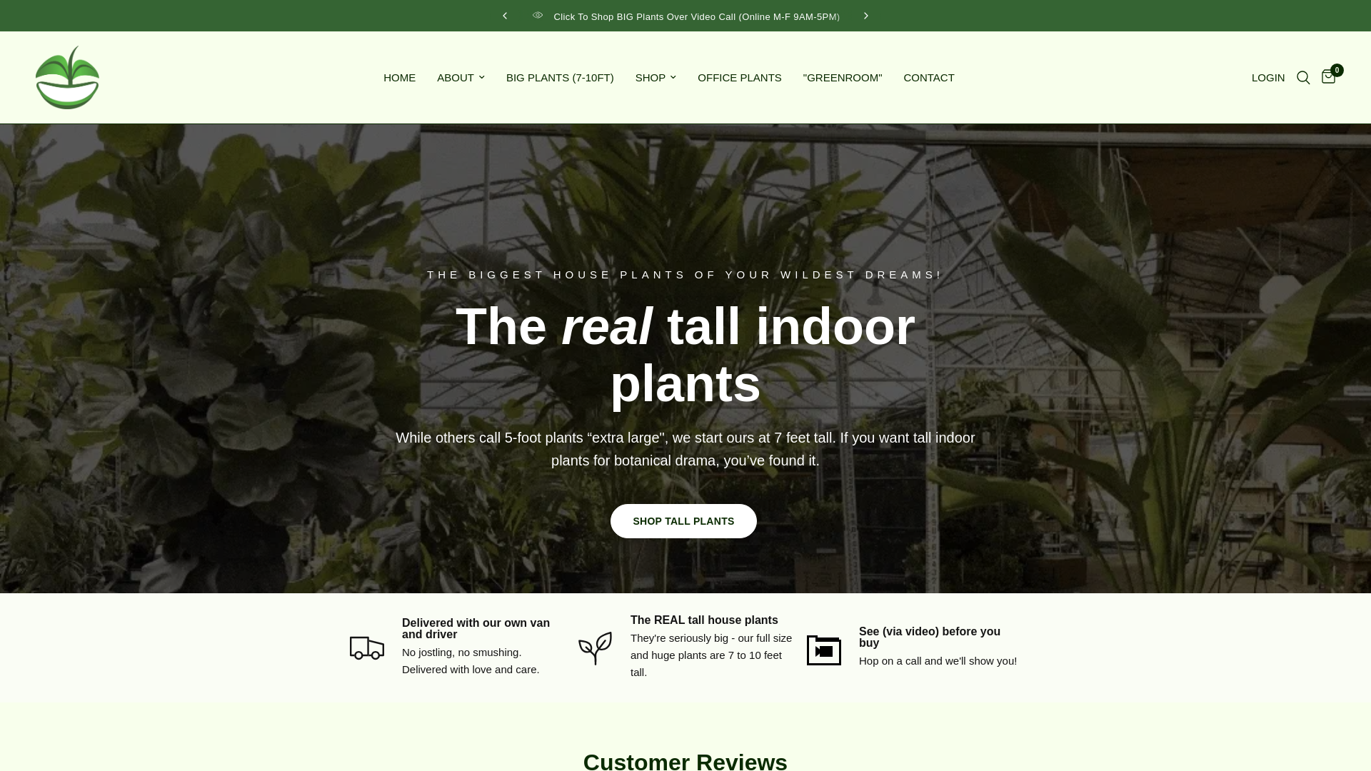 website screenshot of https://pafeplants.shop/