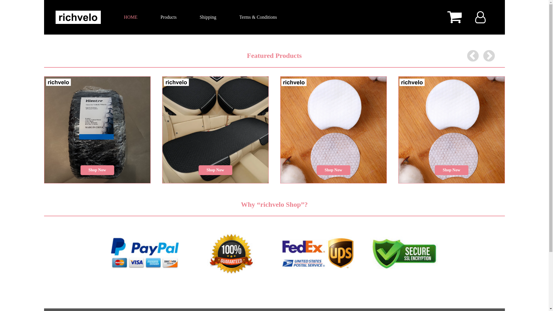 website screenshot of https://richvelo.xyz/