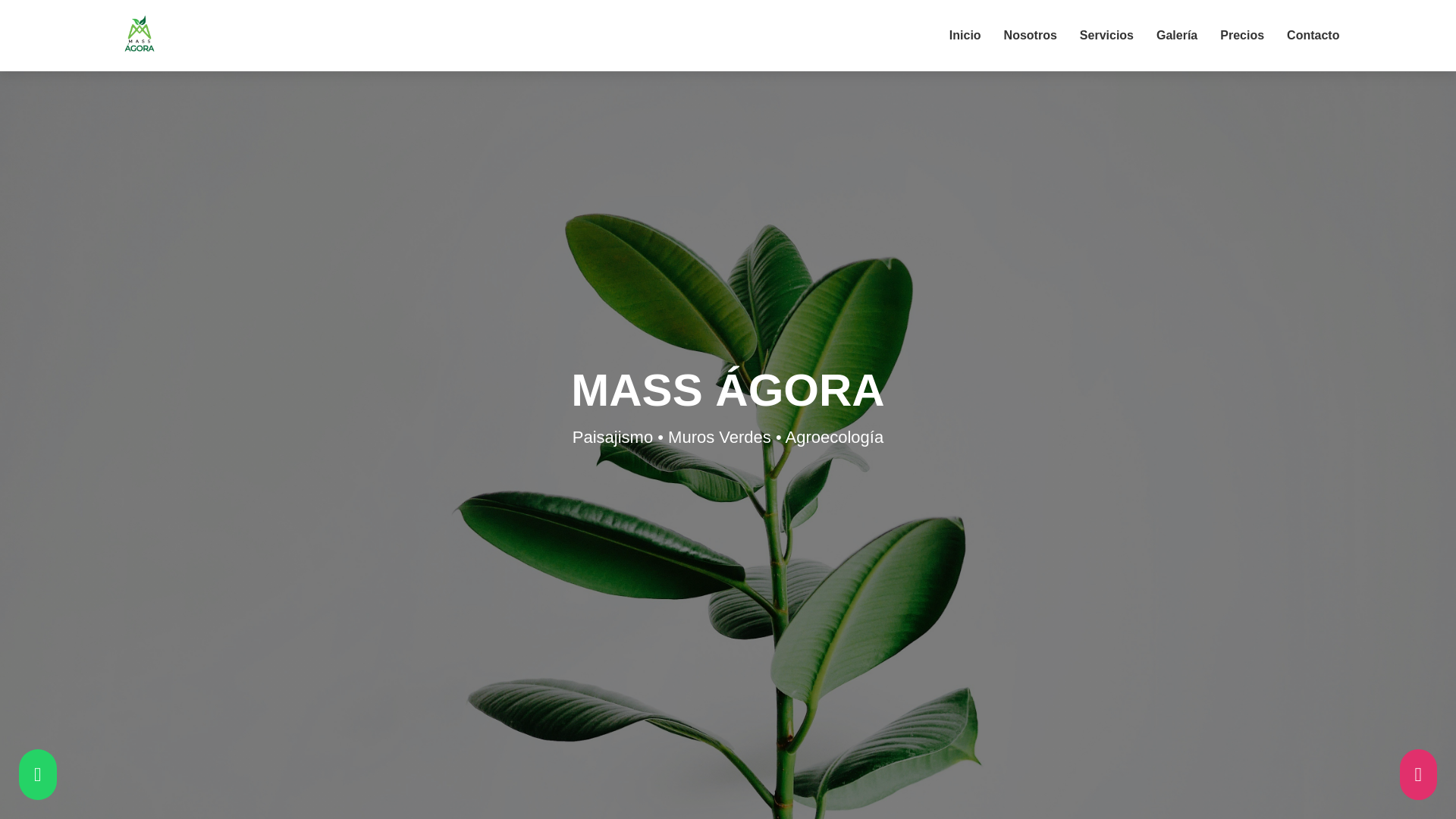website screenshot of https://massagora.com.co/