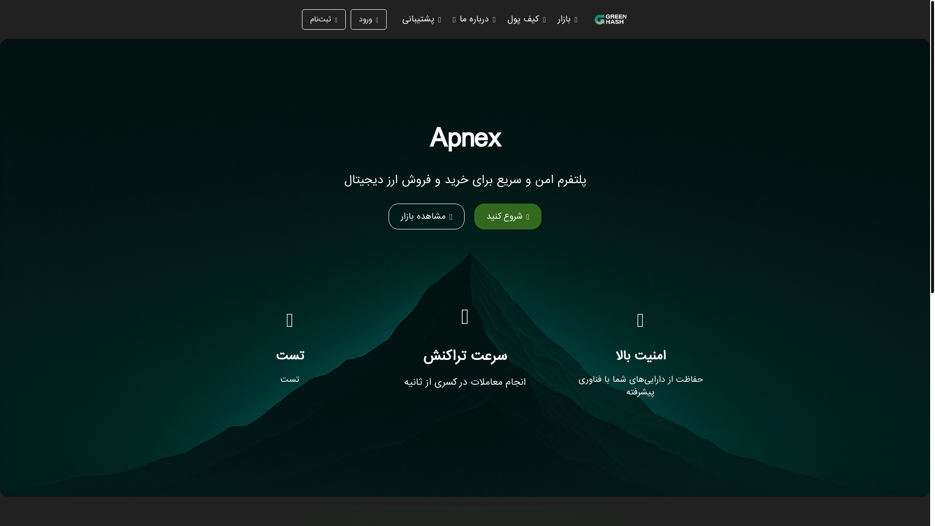 website screenshot of https://apnex.ir/