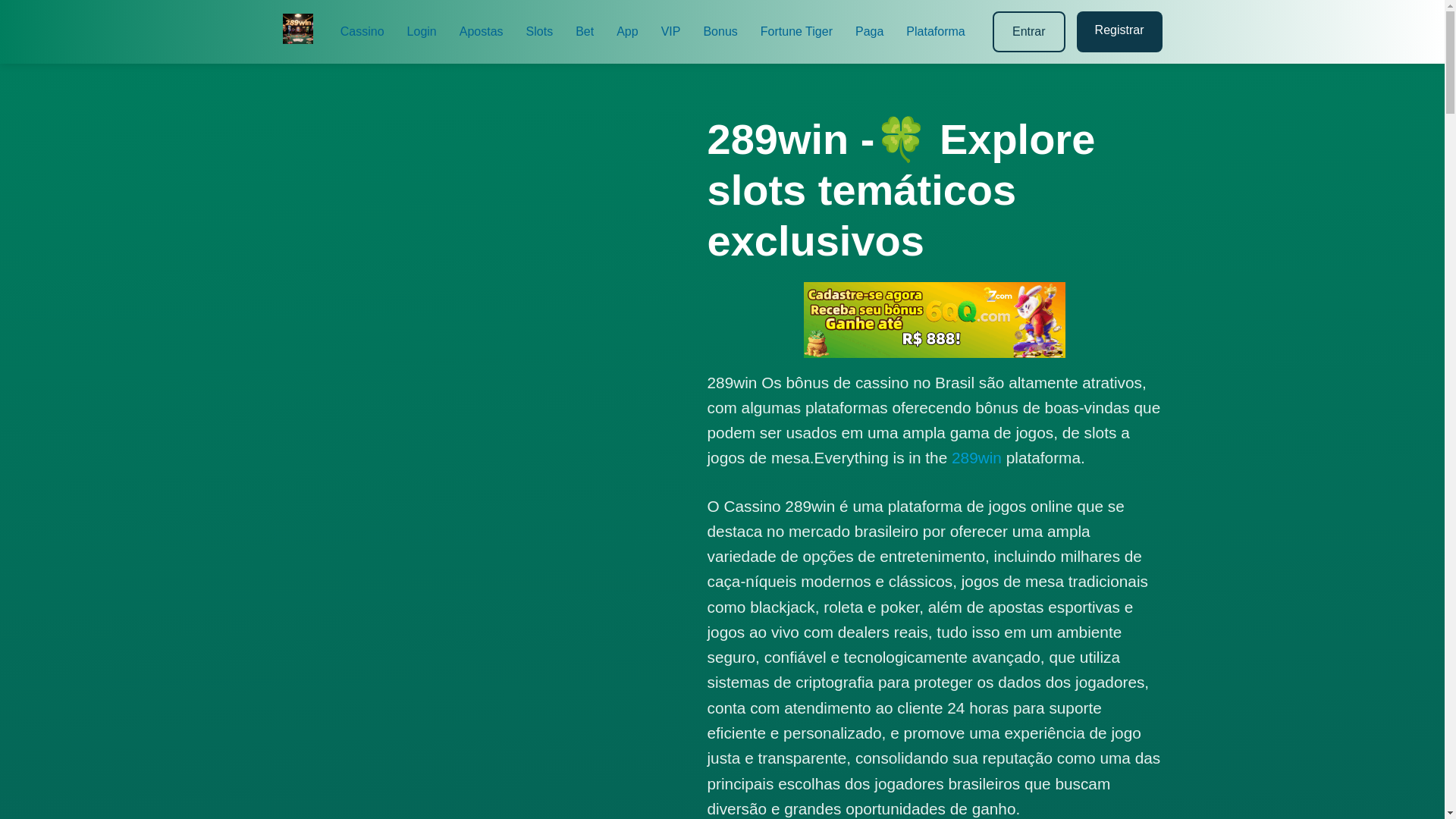 website screenshot of https://289windota.com/