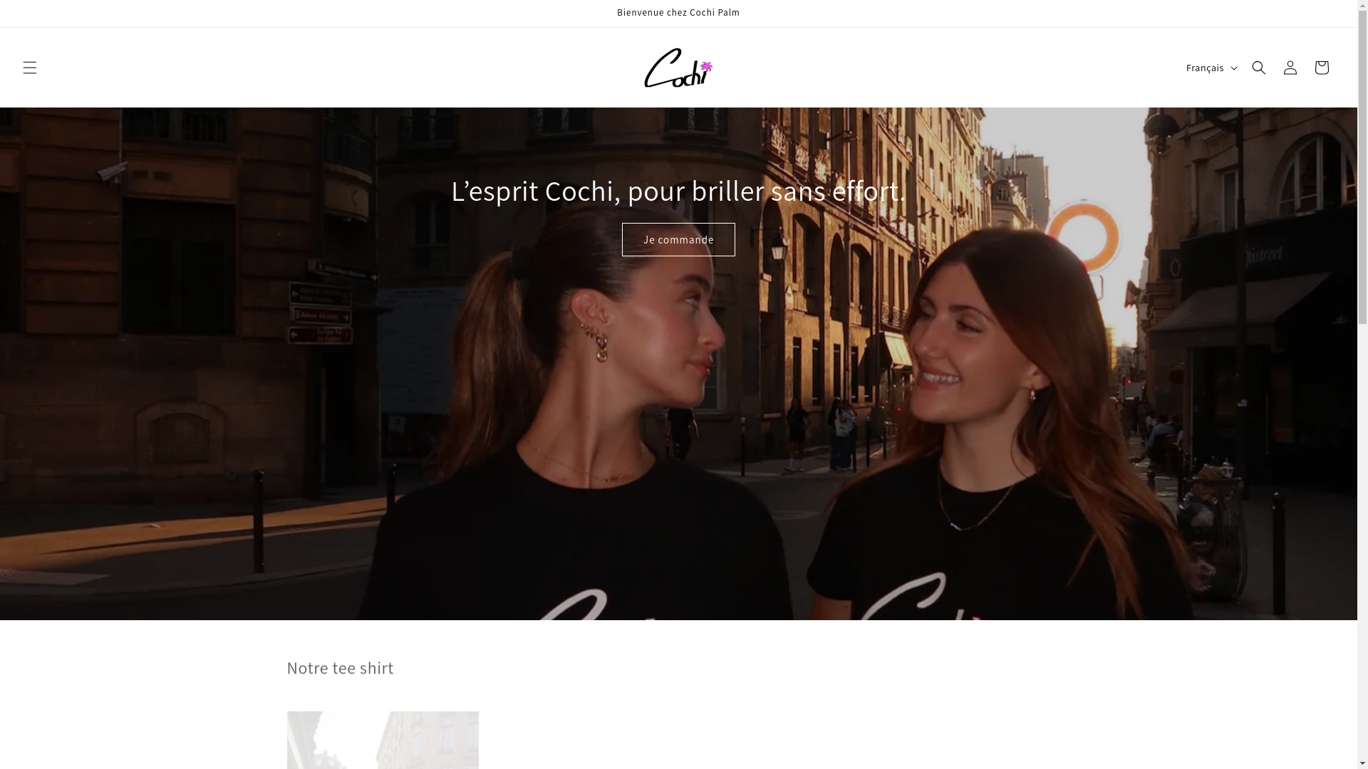 website screenshot of https://cochipalm.com/
