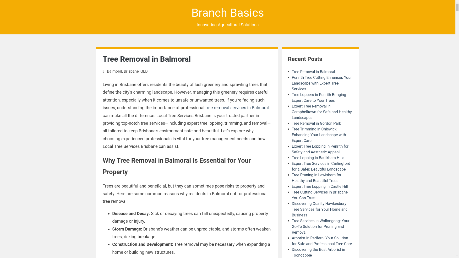 website screenshot of https://terramacs-co-nz.pages.dev/