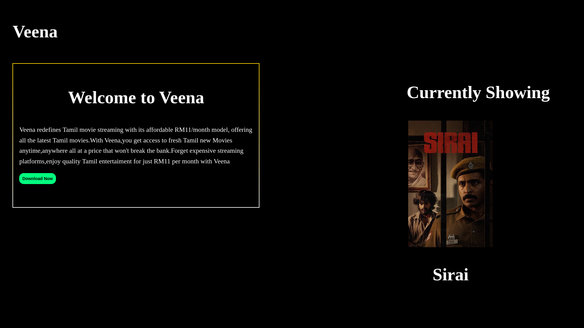 website screenshot of https://veena.cam/