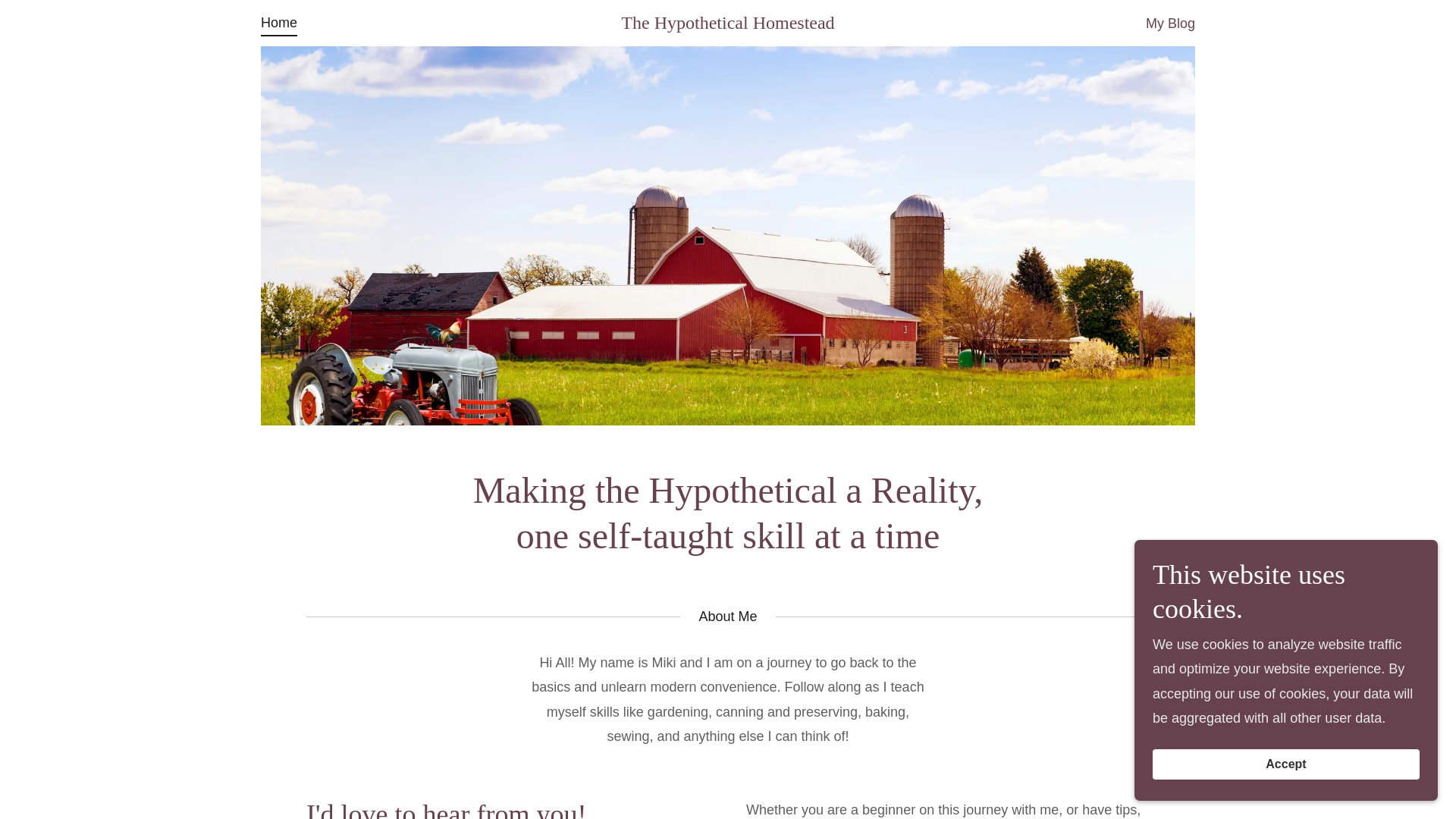 website screenshot of https://thehypotheticalhomestead.com