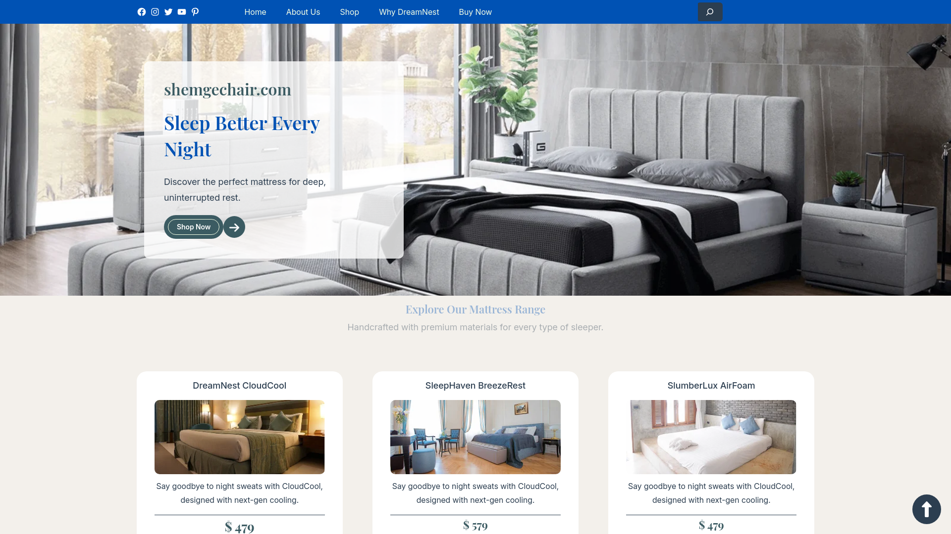 website screenshot of https://shemgechair.com/