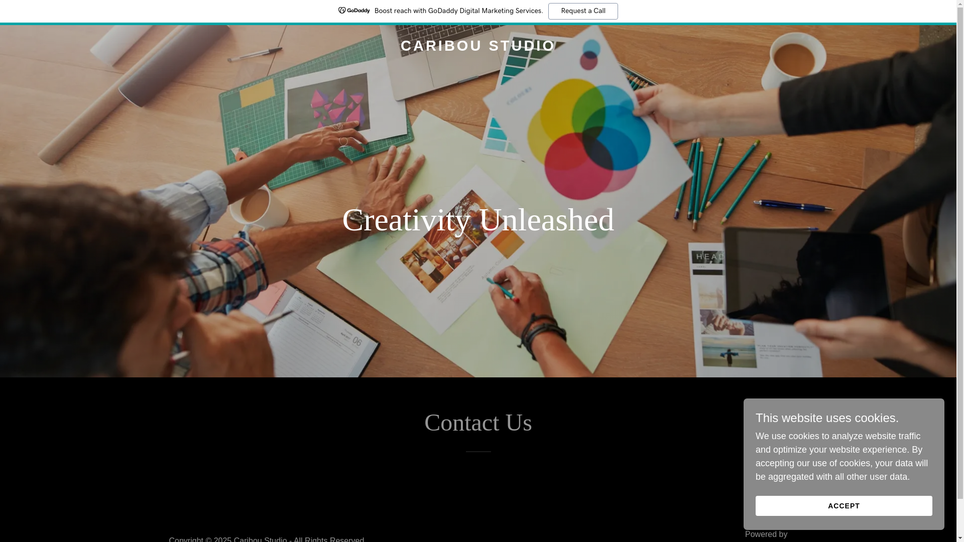 website screenshot of https://cariboustudio.in/