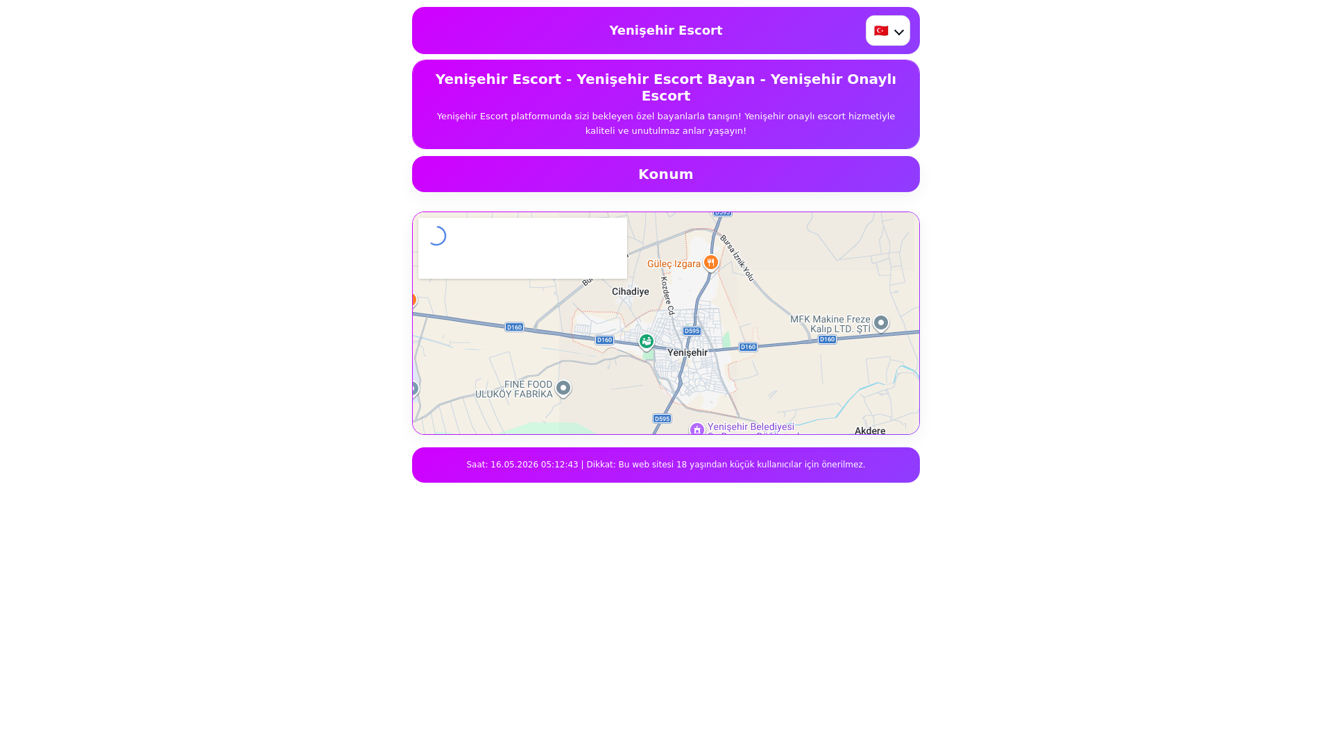 website screenshot of https://yenisehirescorts.xyz/