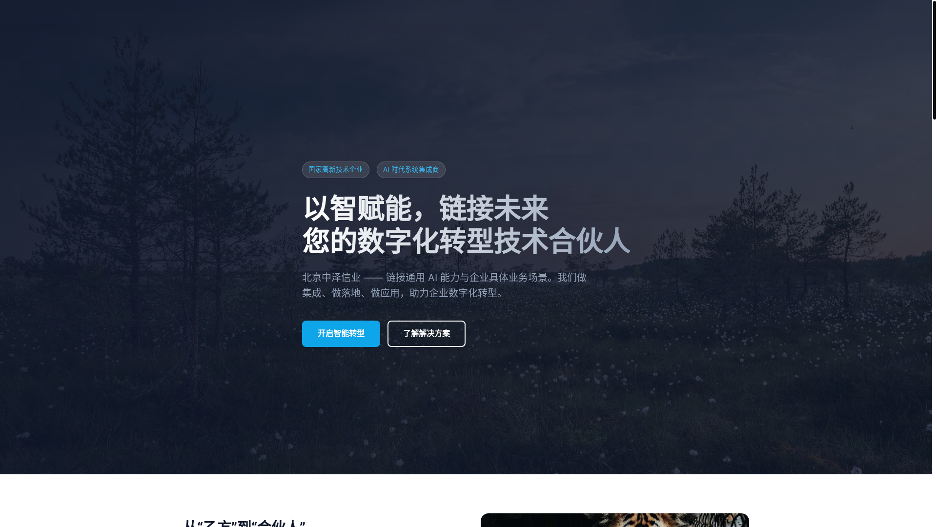 website screenshot of https://zzxytech.pages.dev/