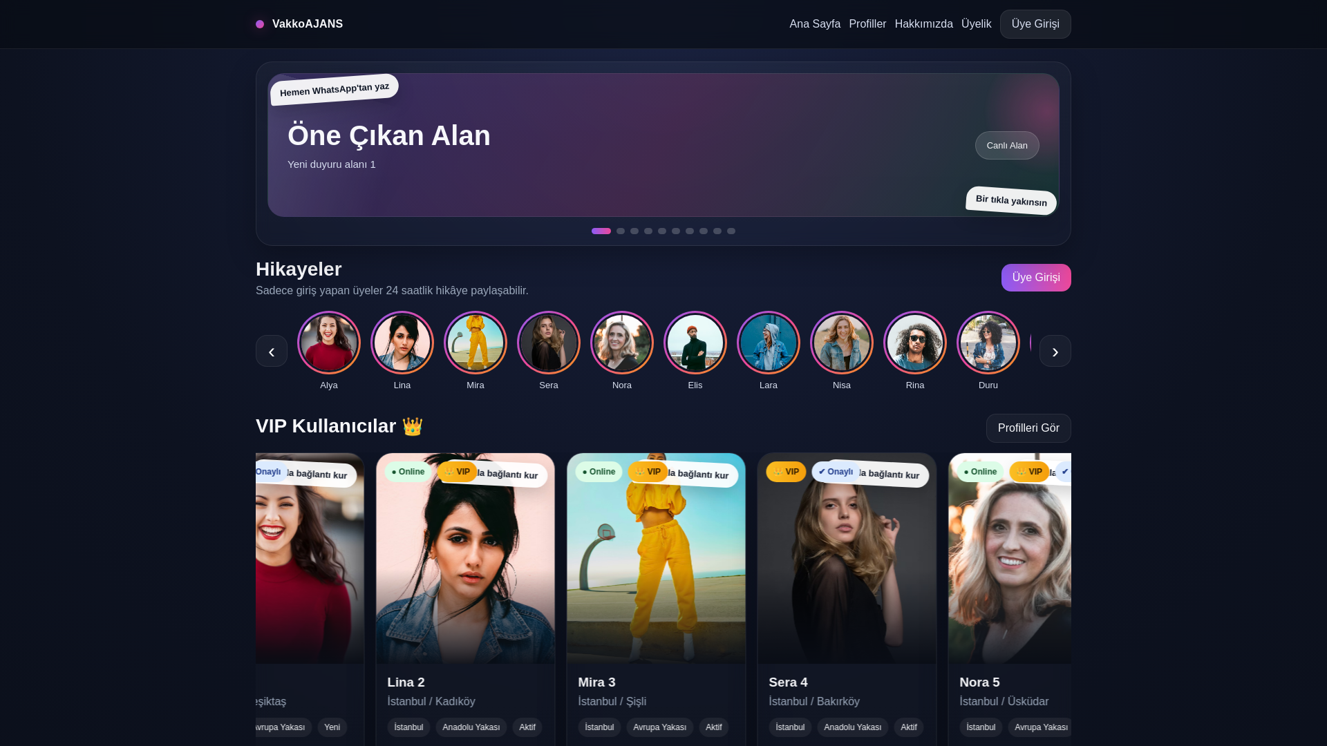 website screenshot of https://vakkoajans.com/