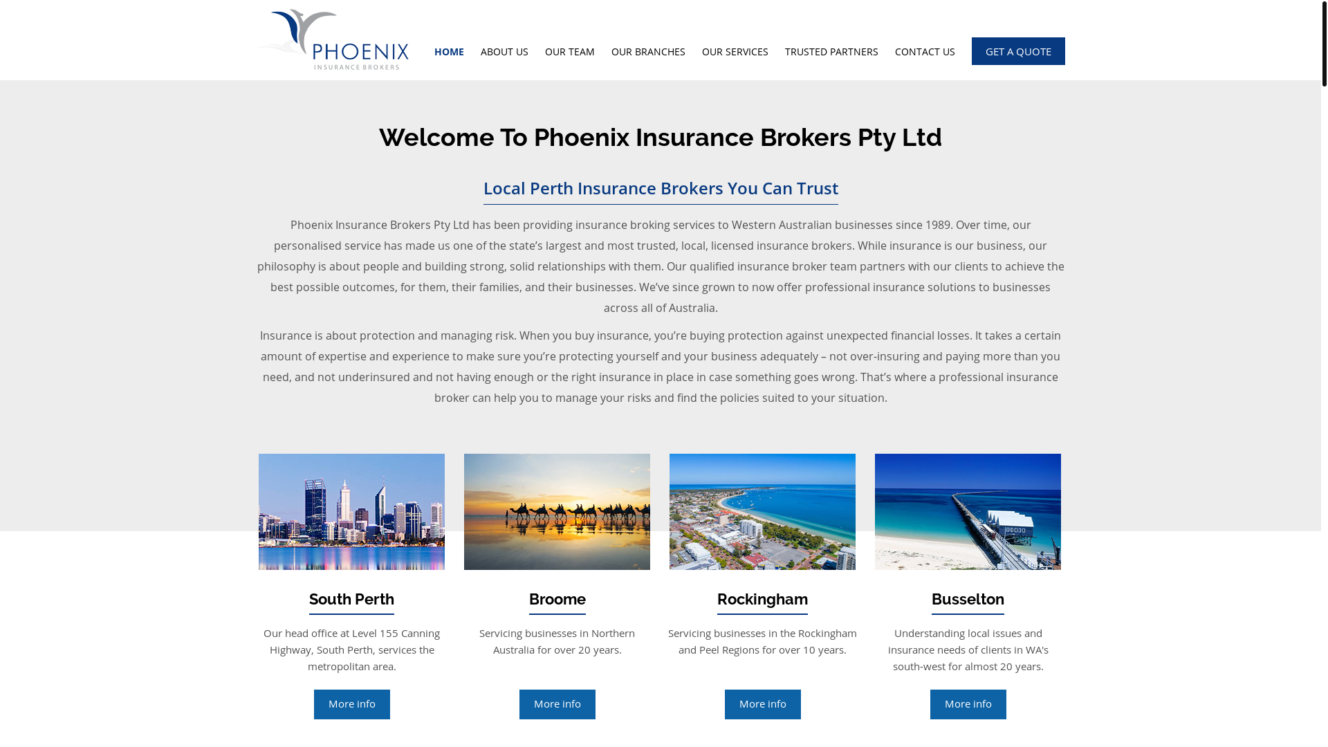 website screenshot of https://phoenixinsgroup.org/