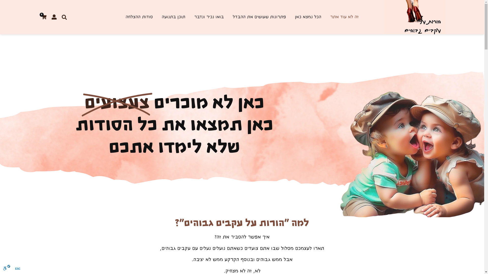 website screenshot of https://ariella-torgeman.co.il/