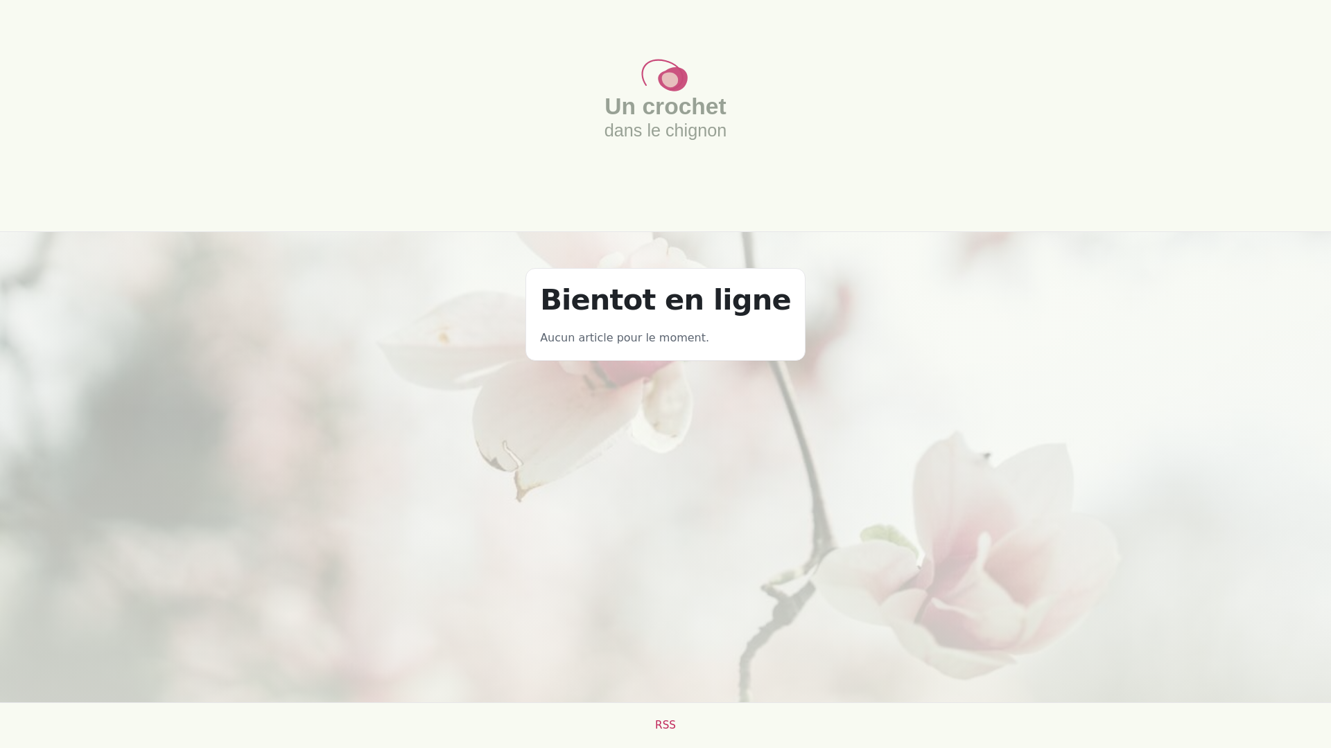 website screenshot of https://un-crochet-dans-le-chignon.pages.dev/