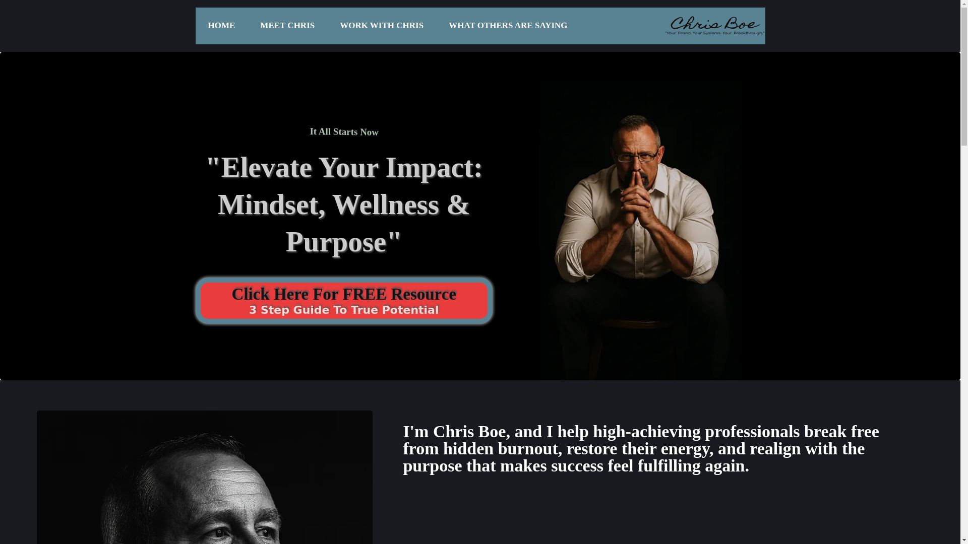 website screenshot of https://chrisboecoaching.com/