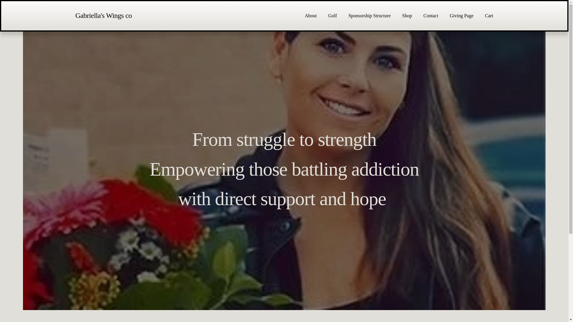 website screenshot of https://thegdcproject.com/