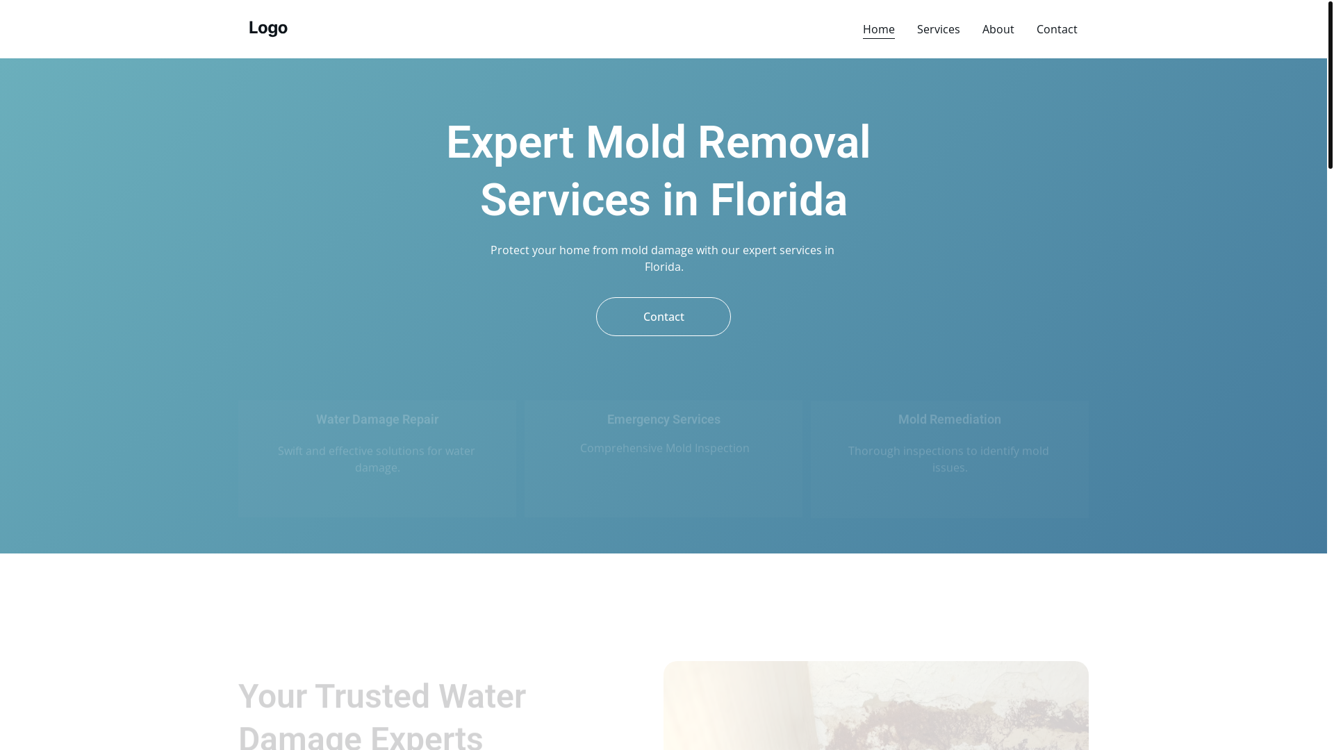 website screenshot of https://moldavitawaterdamage.shop/