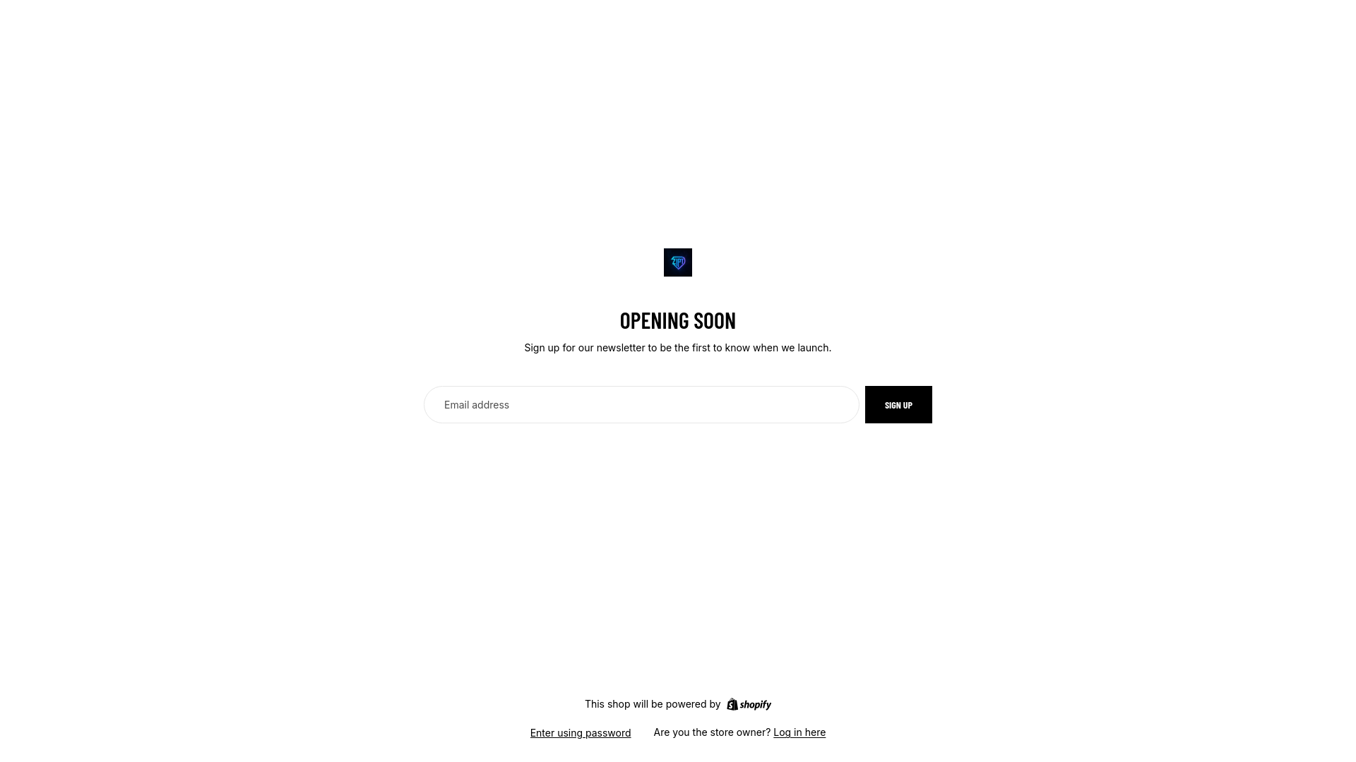 website screenshot of https://zippytech.store/