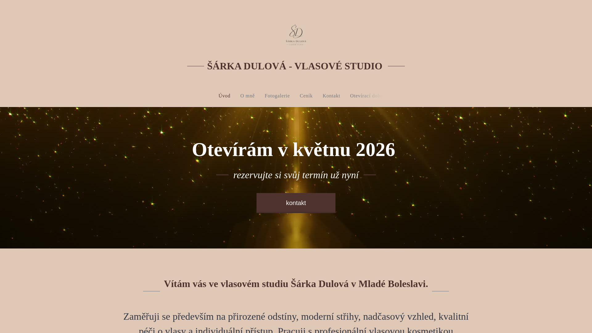 website screenshot of https://sarkadulova.cz/