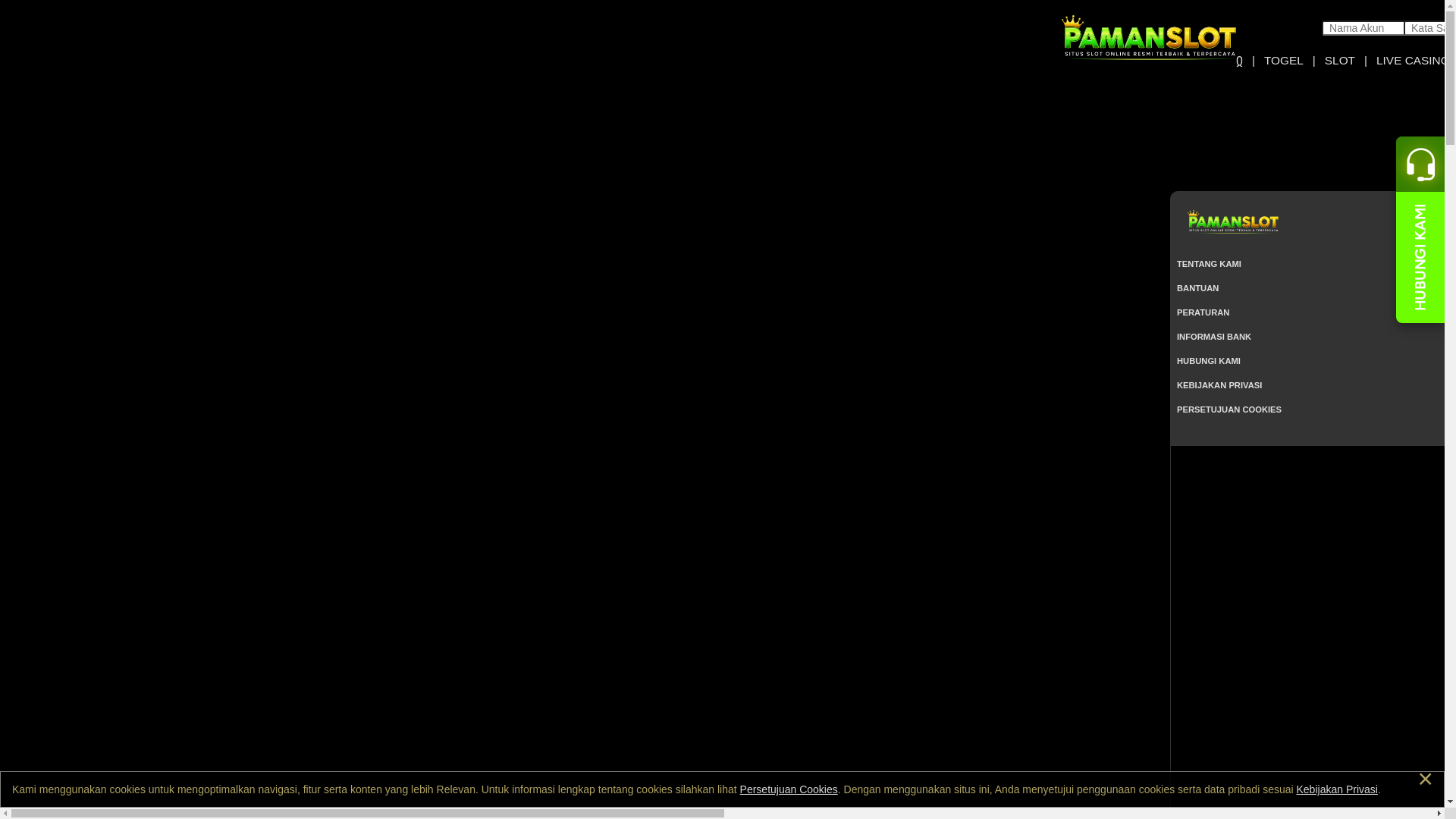 website screenshot of https://pamangameplay.com/