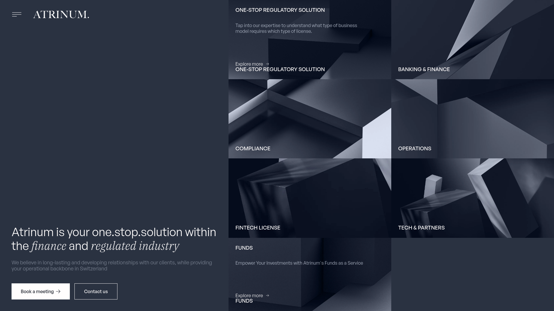 website screenshot of https://consultingatrinum.com/