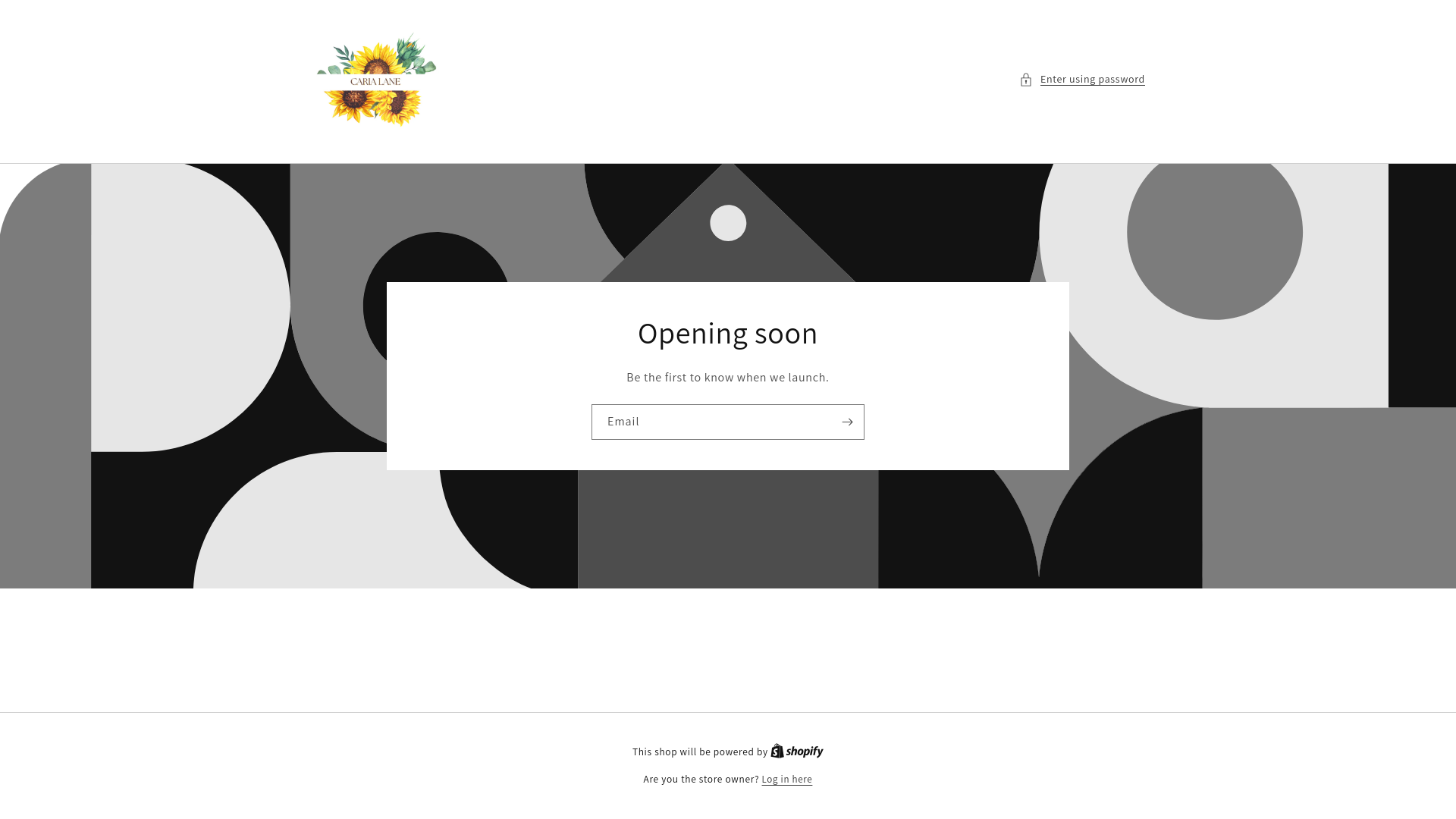 website screenshot of https://carialane.com/