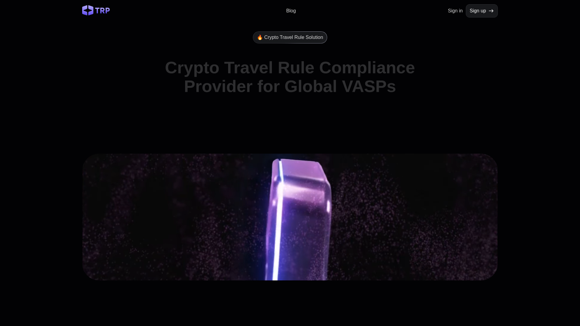 website screenshot of https://travel-rule.pro/