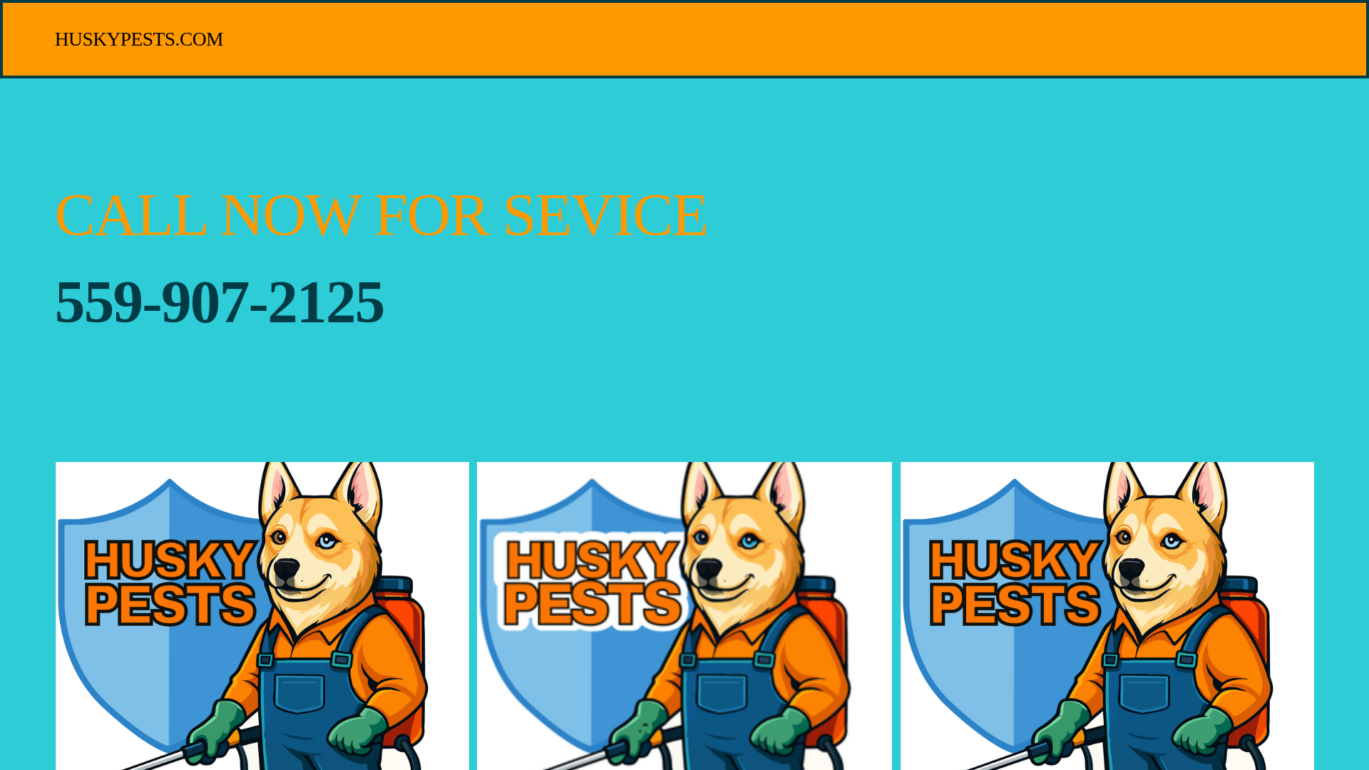 website screenshot of https://huskypests.com