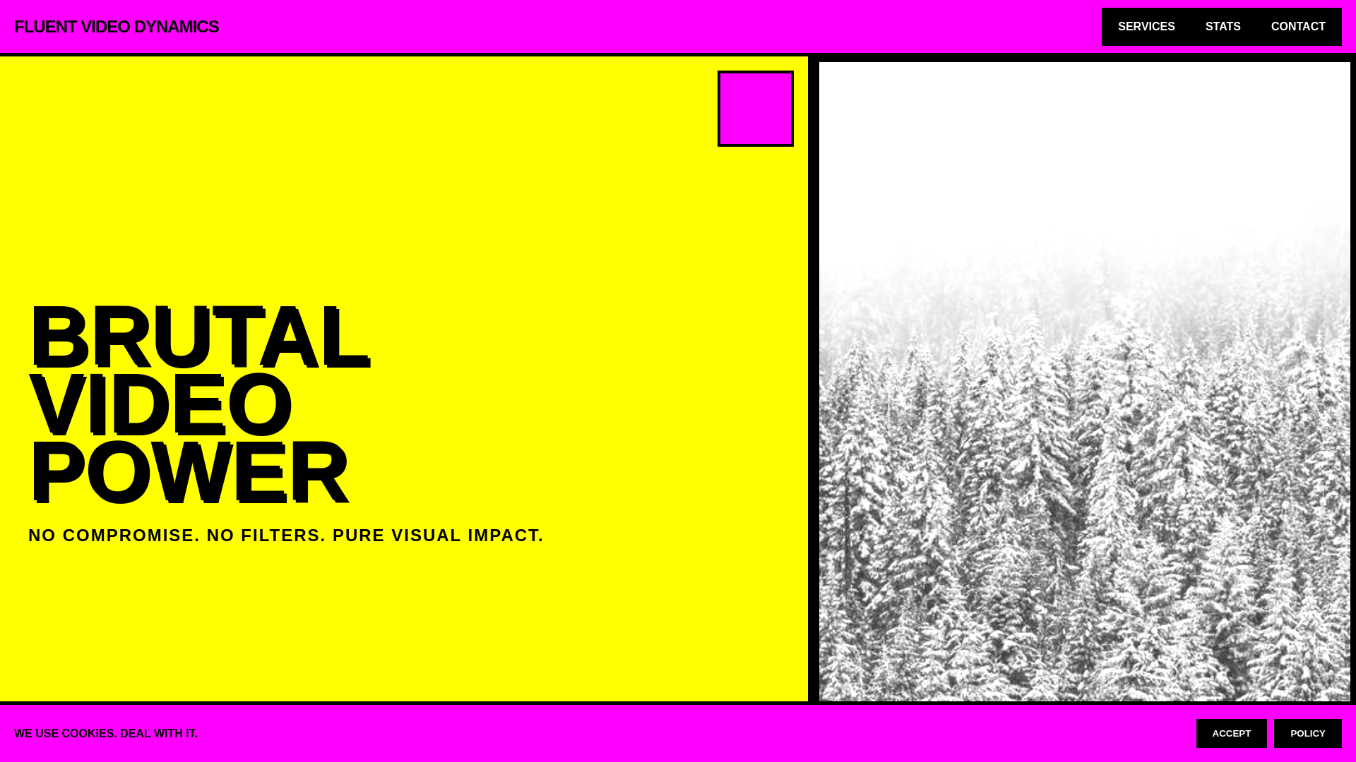 website screenshot of https://fluentvideodynamics.xyz/