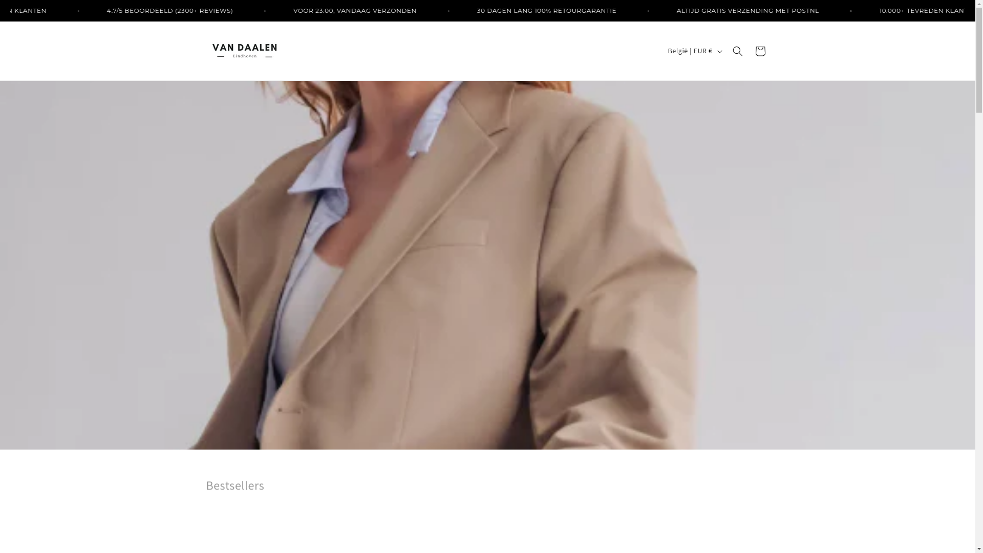 website screenshot of https://vandaalen-eindhoven.nl/