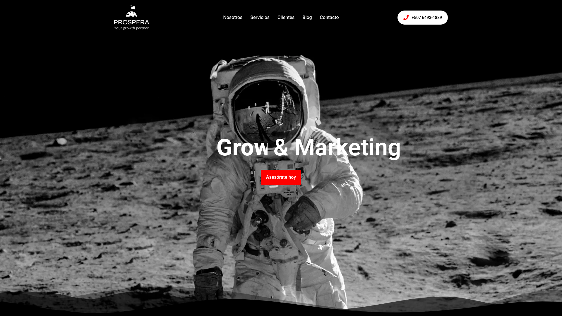 website screenshot of https://goprosperapartner.com/