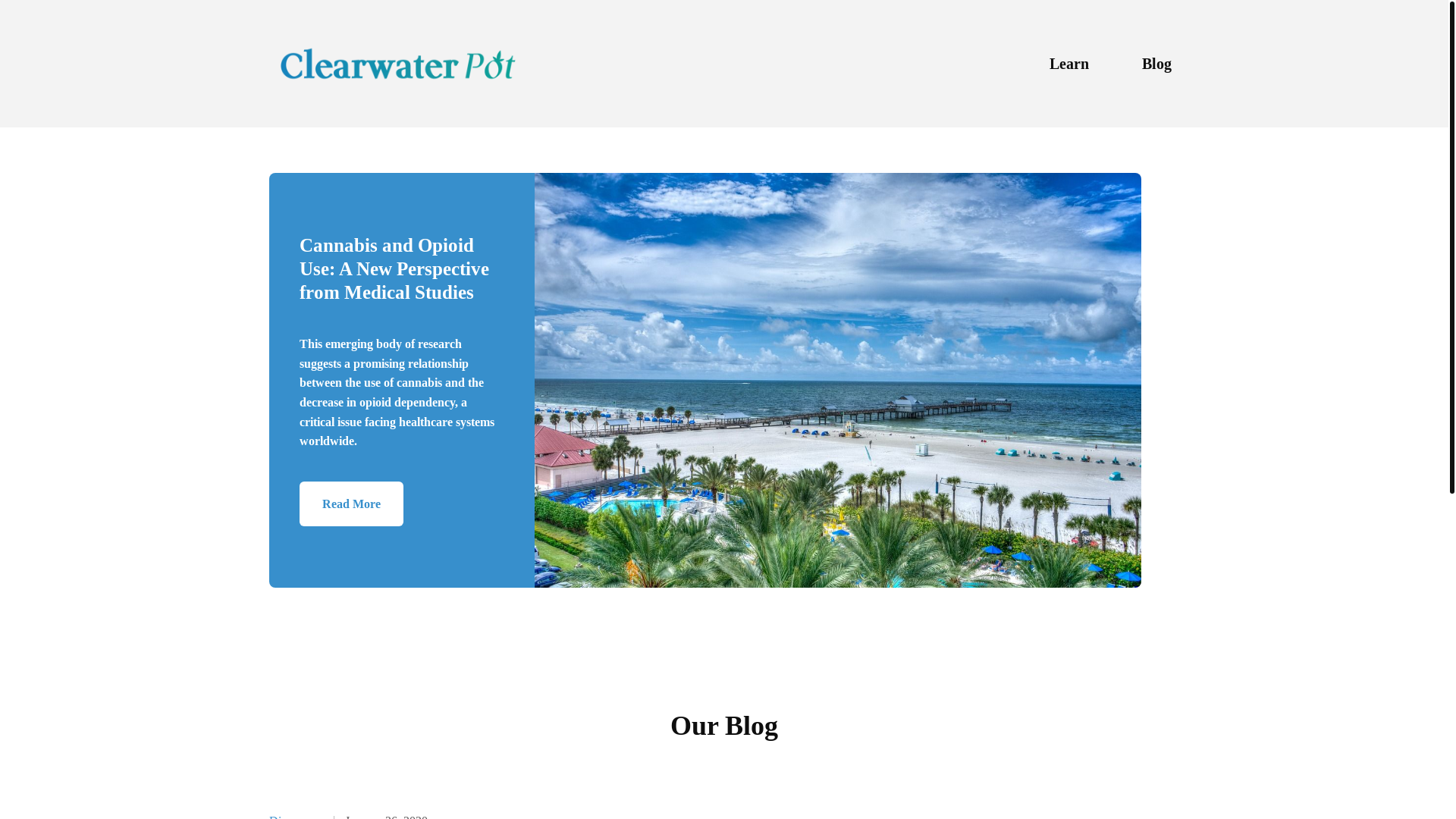 website screenshot of https://clearwaterpot-com.pages.dev/