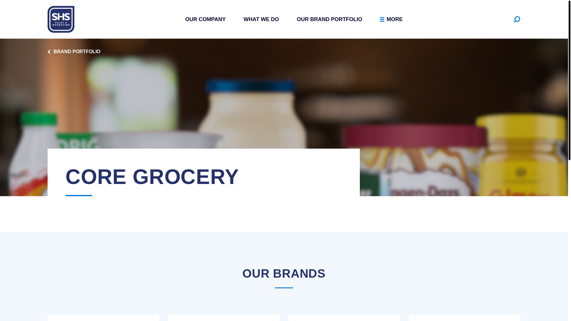 website screenshot of https://shs-sales.co.uk/brand-portfolio/grocery-core