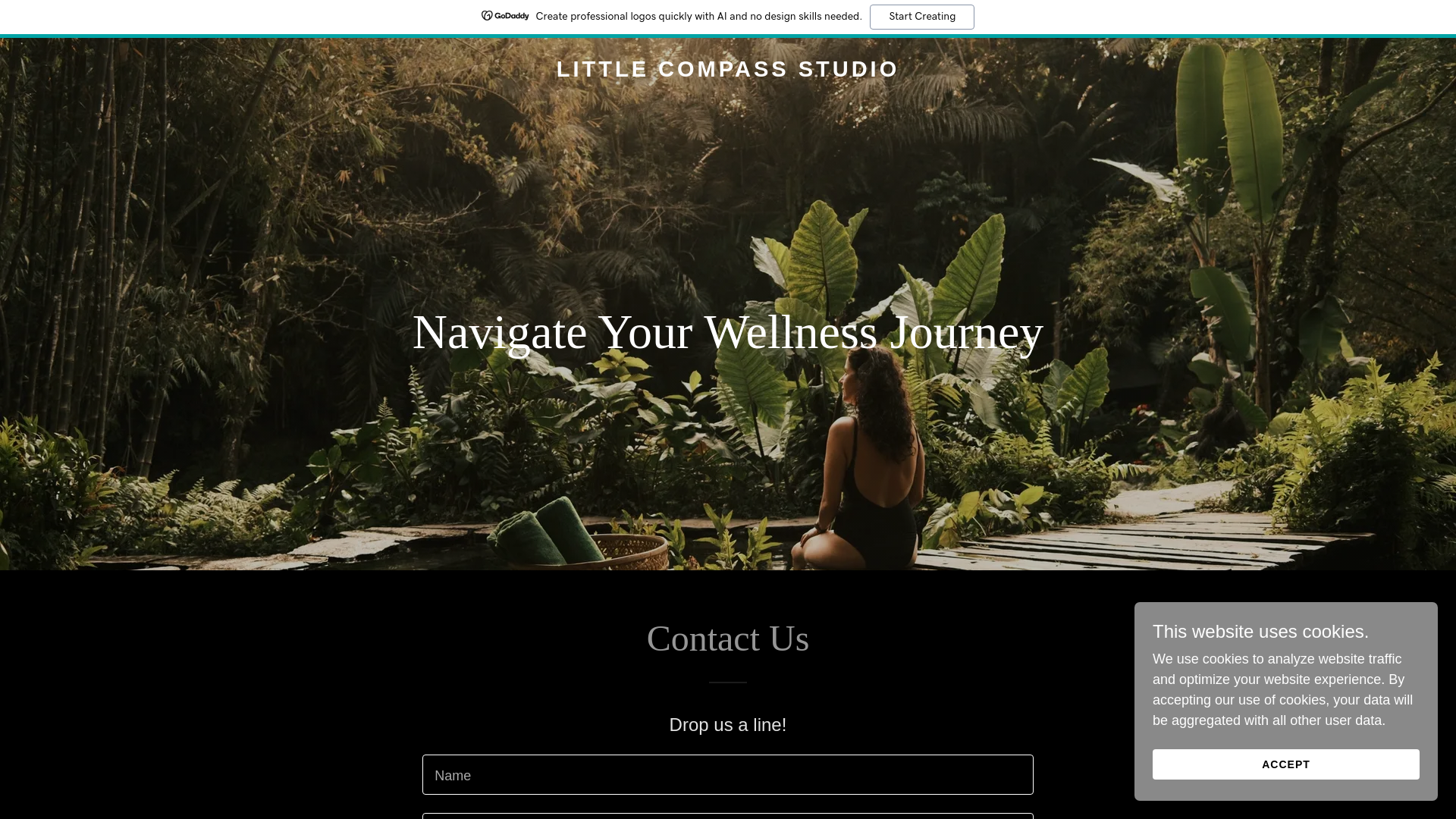 website screenshot of https://littlecompassstudio.com/