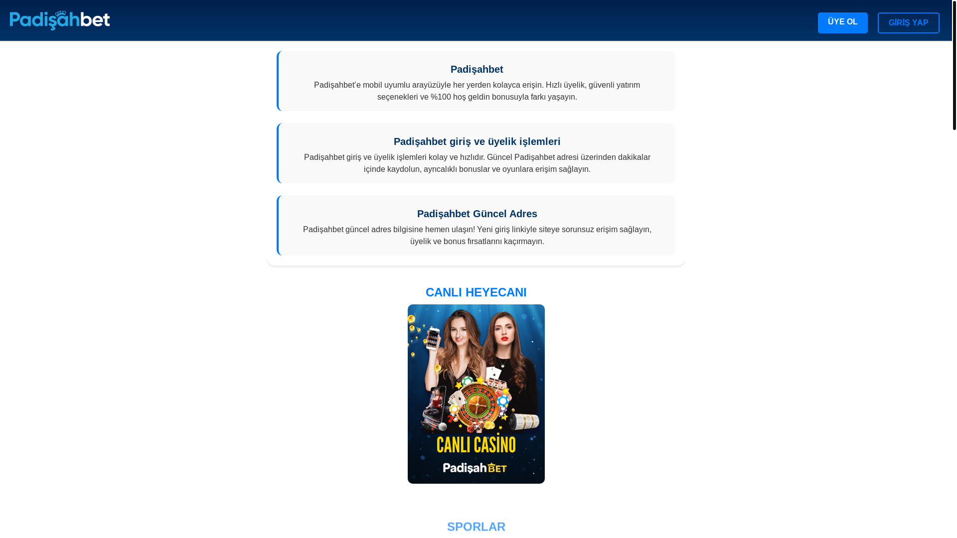 website screenshot of https://padisahguncel-adres.com/