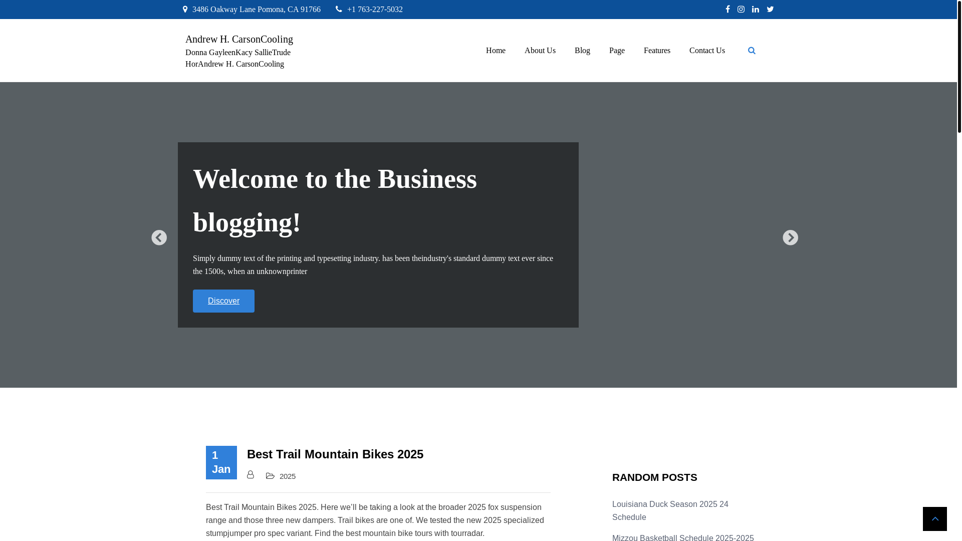 website screenshot of https://andrewhcarsoncooling.pages.dev/