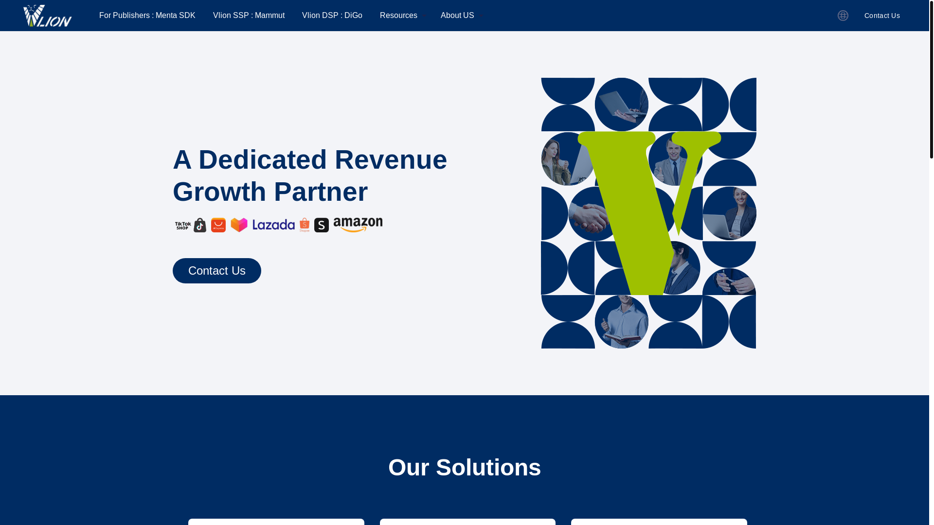 website screenshot of https://advlion.com