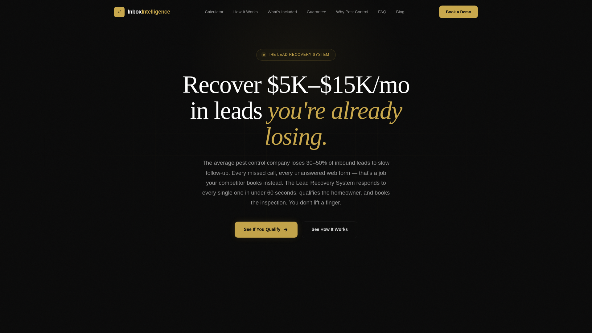 website screenshot of https://inboxintelligence.space