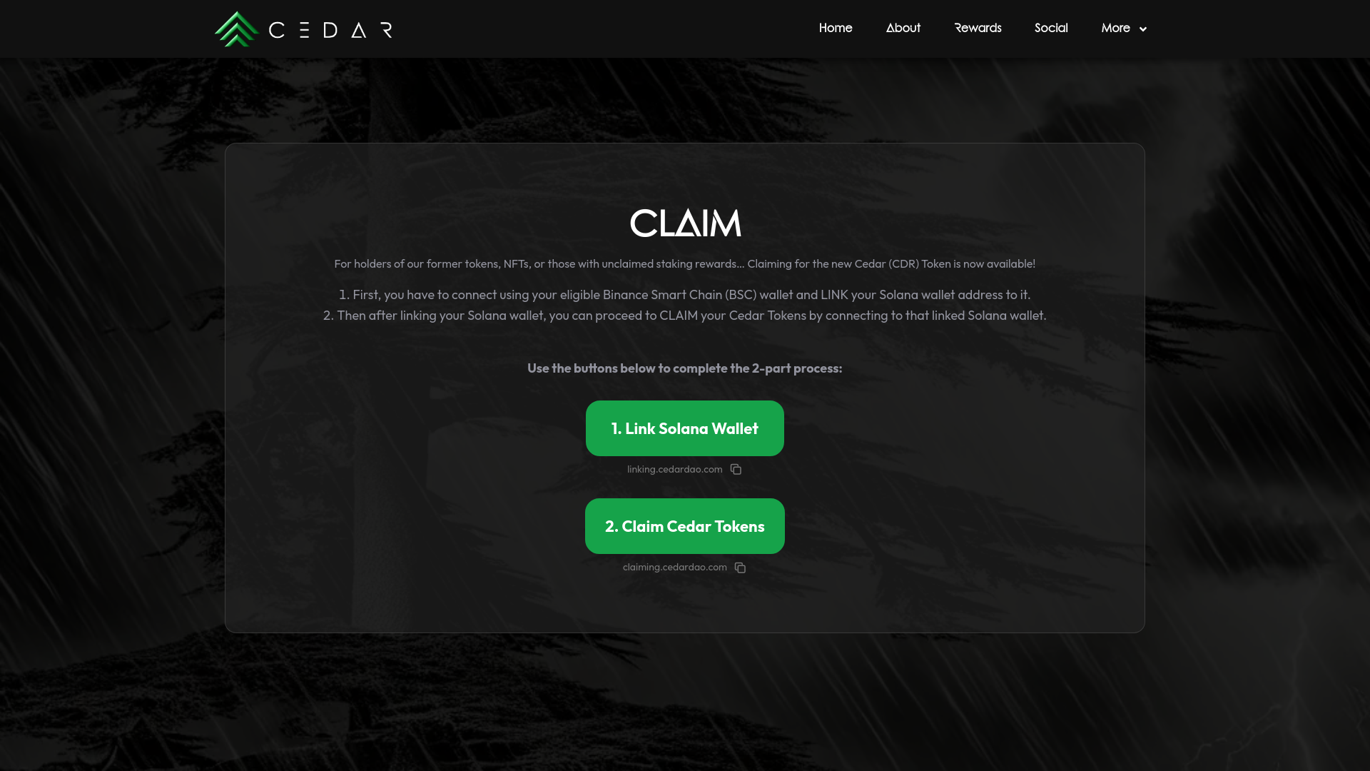 website screenshot of https://cedar.pages.dev