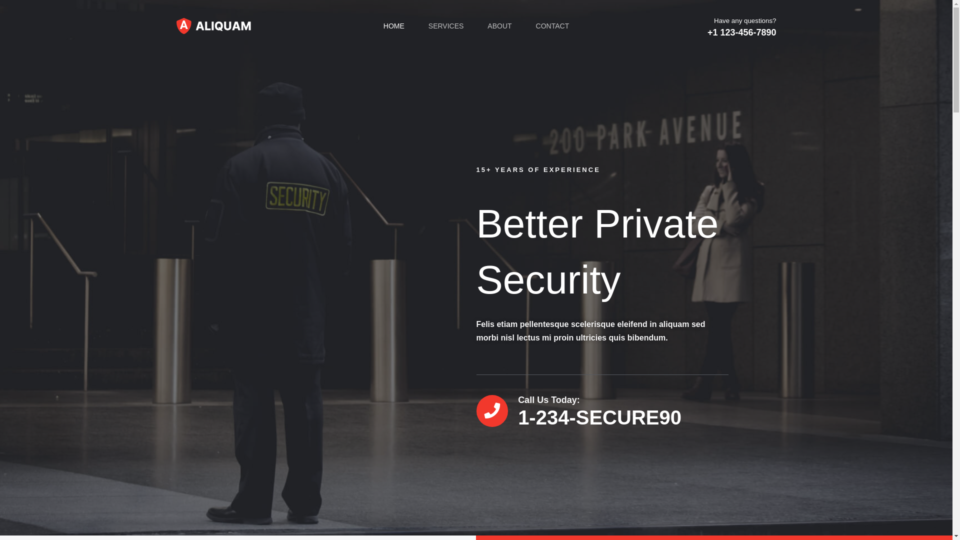 website screenshot of https://vireonsecurity.co.uk/