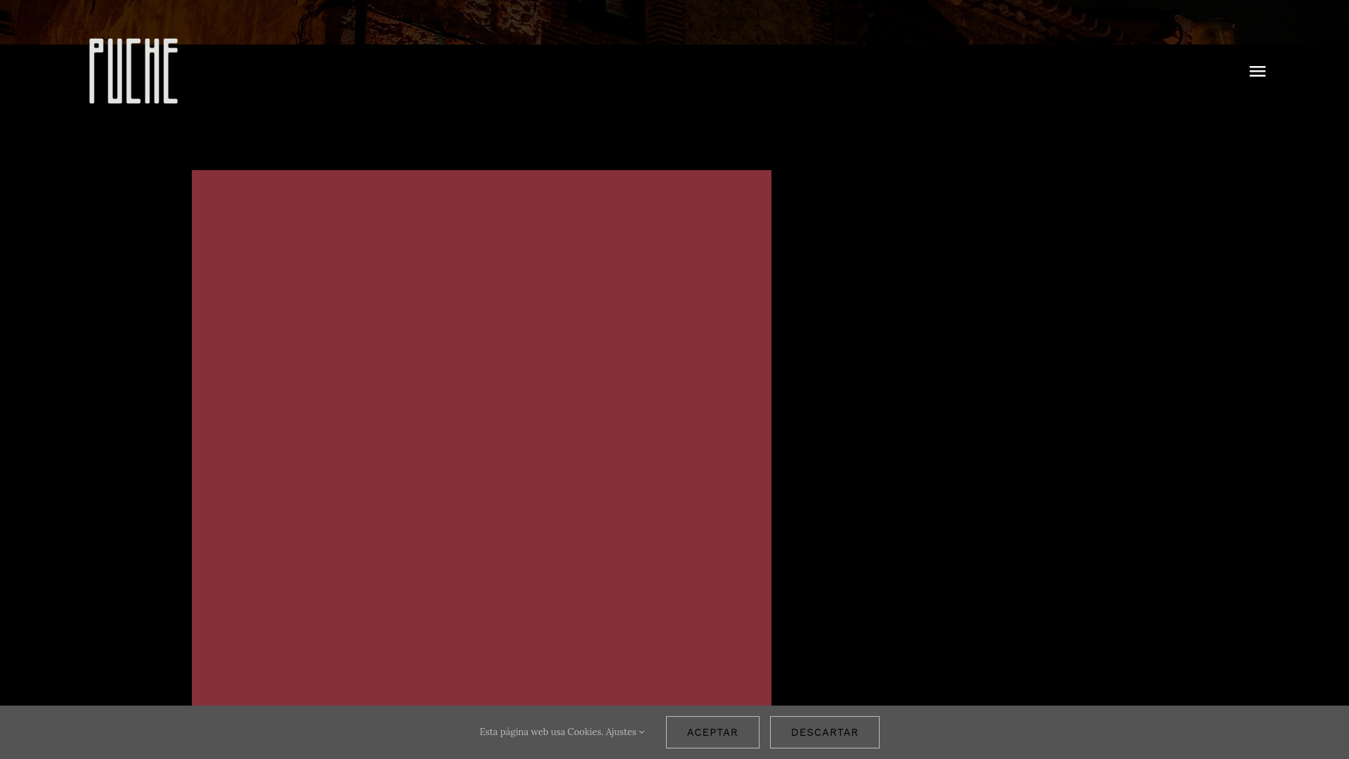 website screenshot of https://restaurantepuche.es