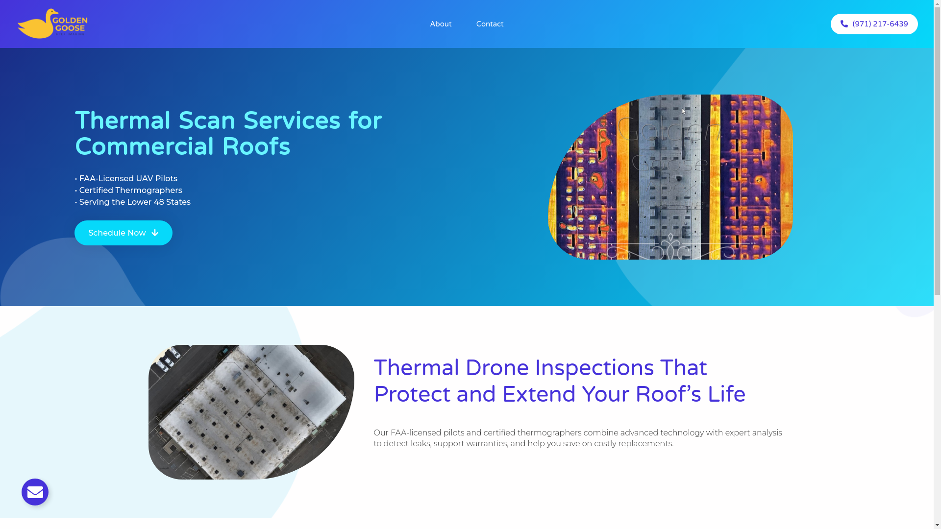 website screenshot of https://goldengooseapeximaging.com/
