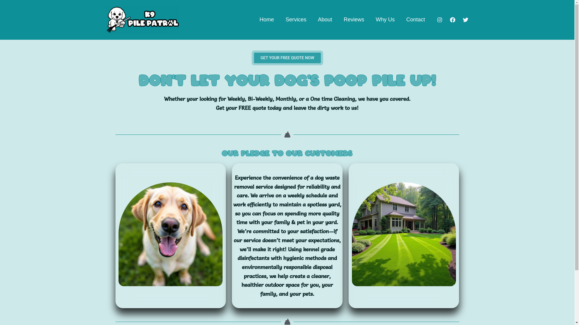 website screenshot of https://k9pilepatrol.com/