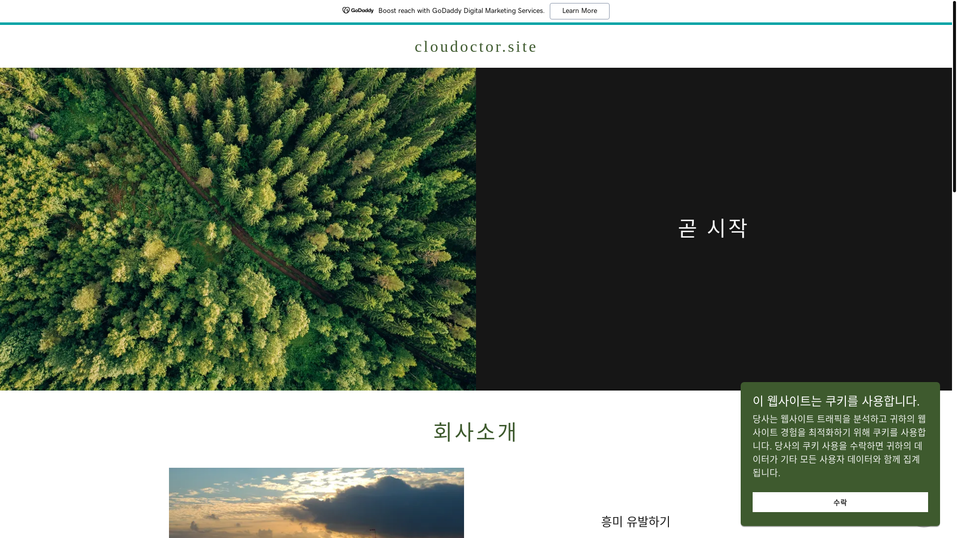 website screenshot of https://cloudoctor.site/