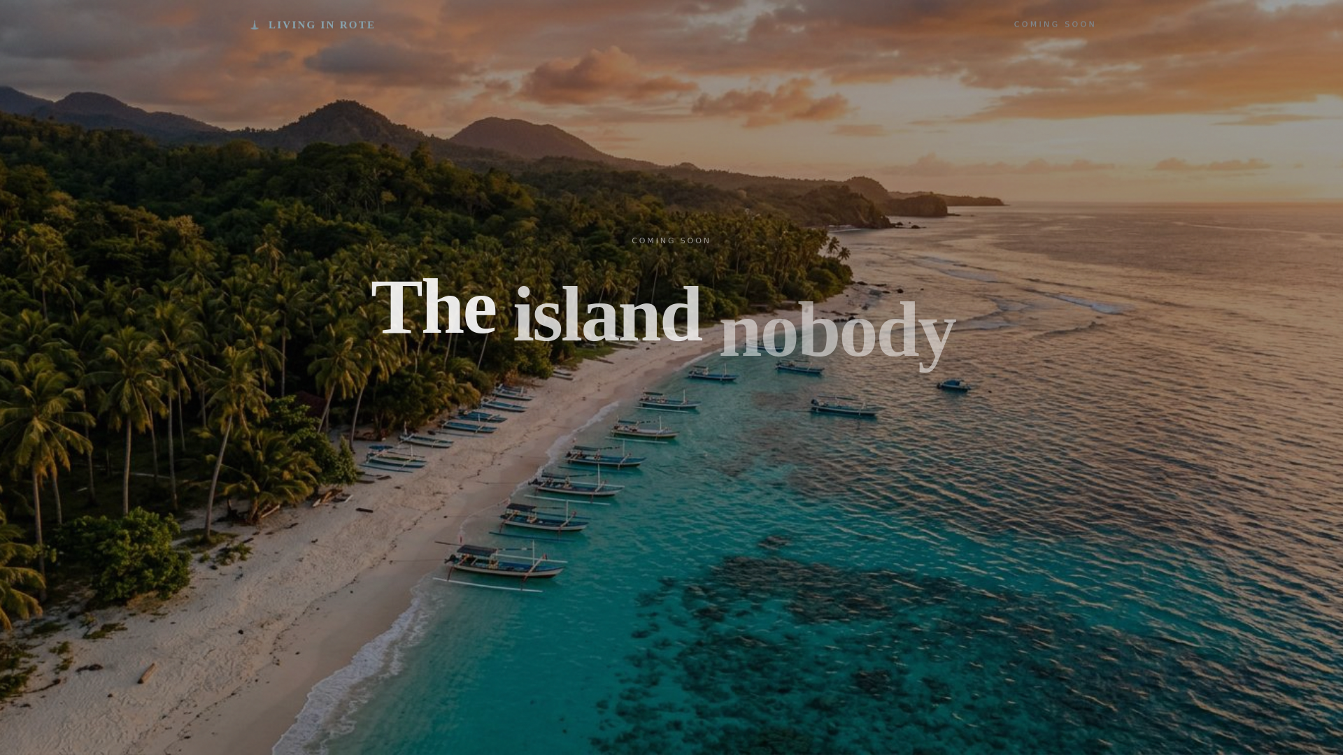 website screenshot of https://living-in-rote-v2.pages.dev/