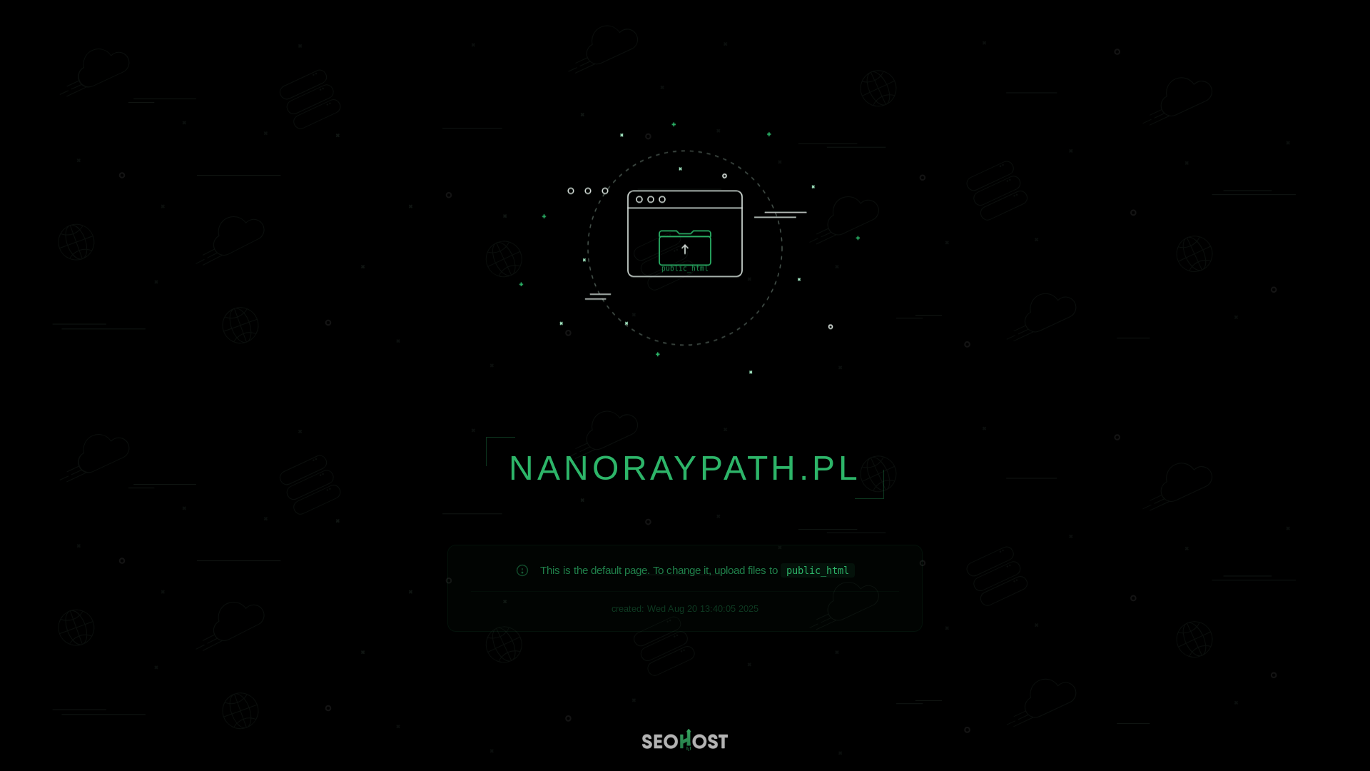 website screenshot of https://nanoraypath.pl/