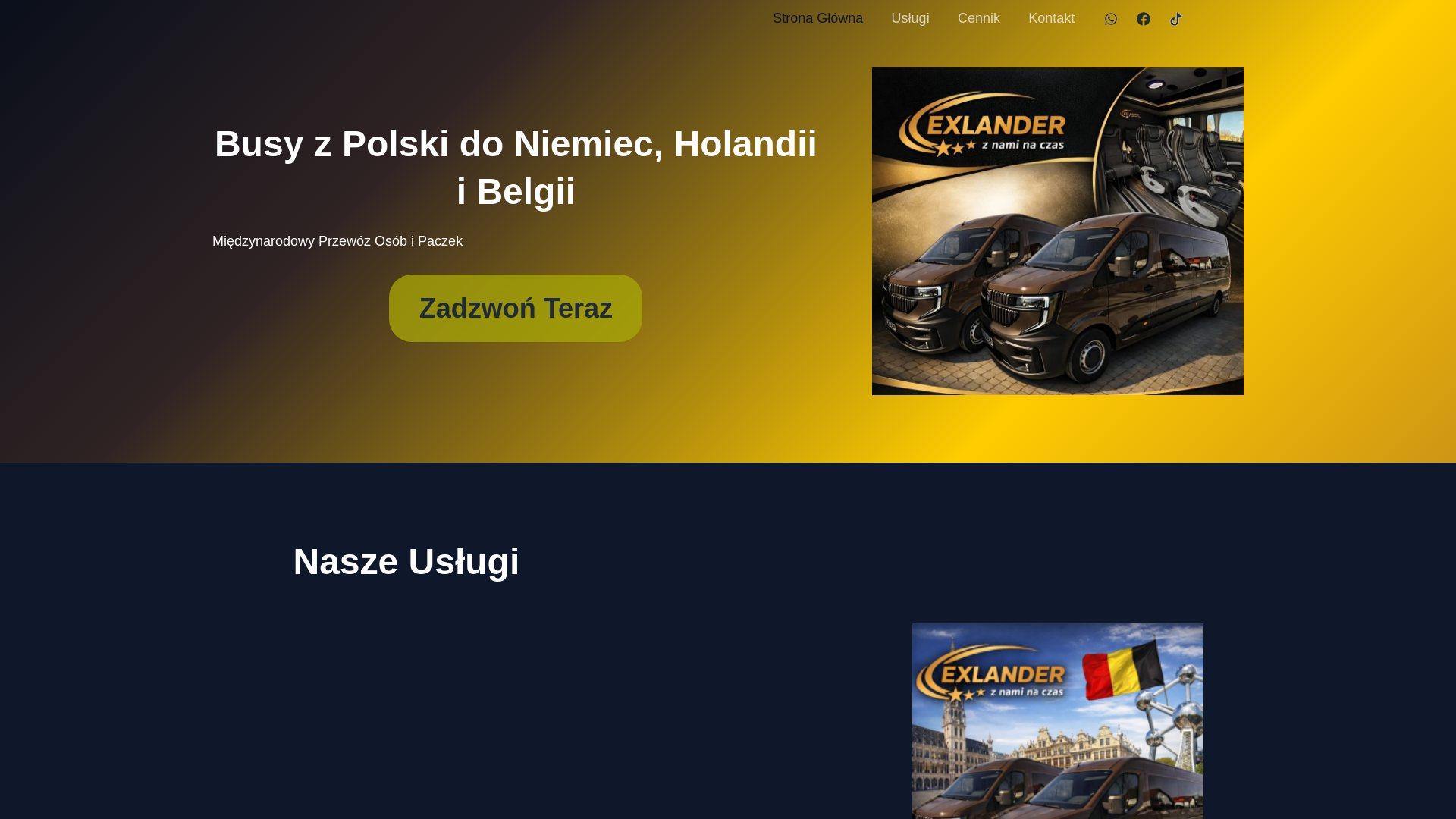 website screenshot of https://exlander.com.pl/