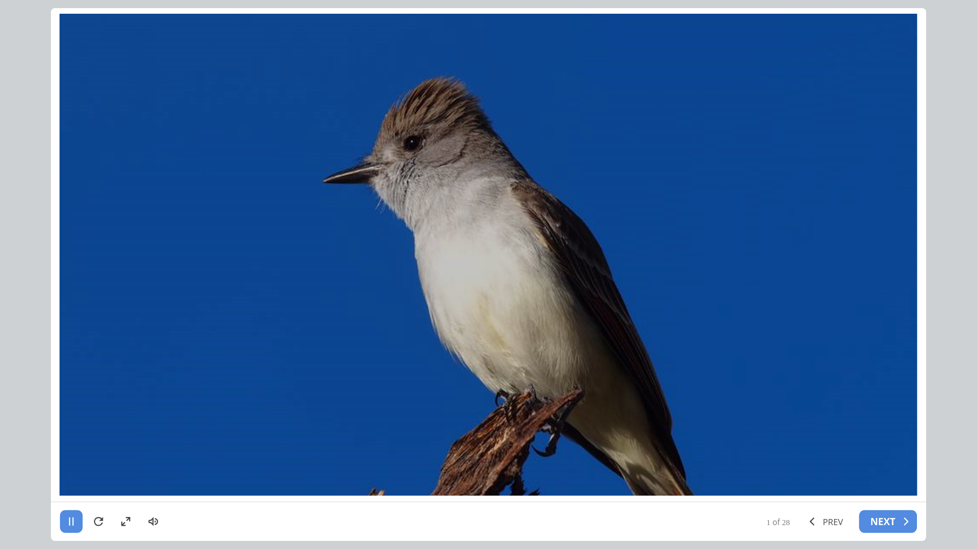website screenshot of https://aaa2c77d-8c3a-edd1-e3d5-79118e85c1ee-qa.pages.dev/